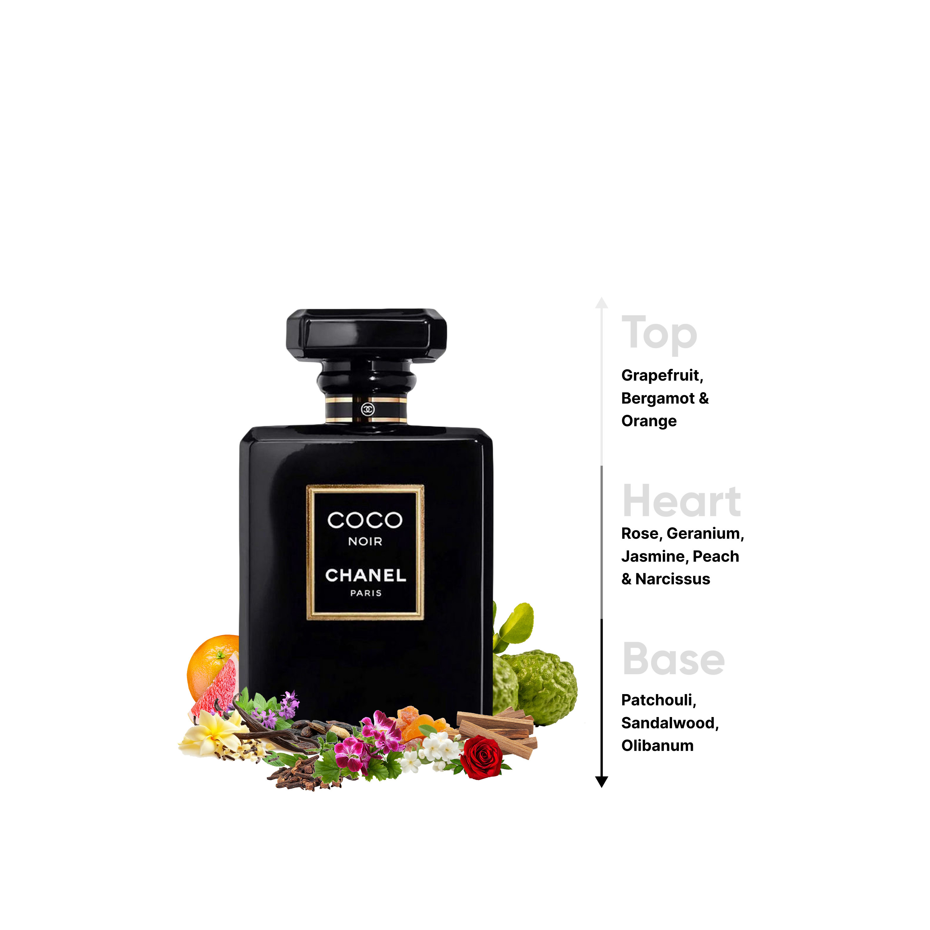 Shop Chanel Coco Noir Eau de Parfum for Women - 100 ml
