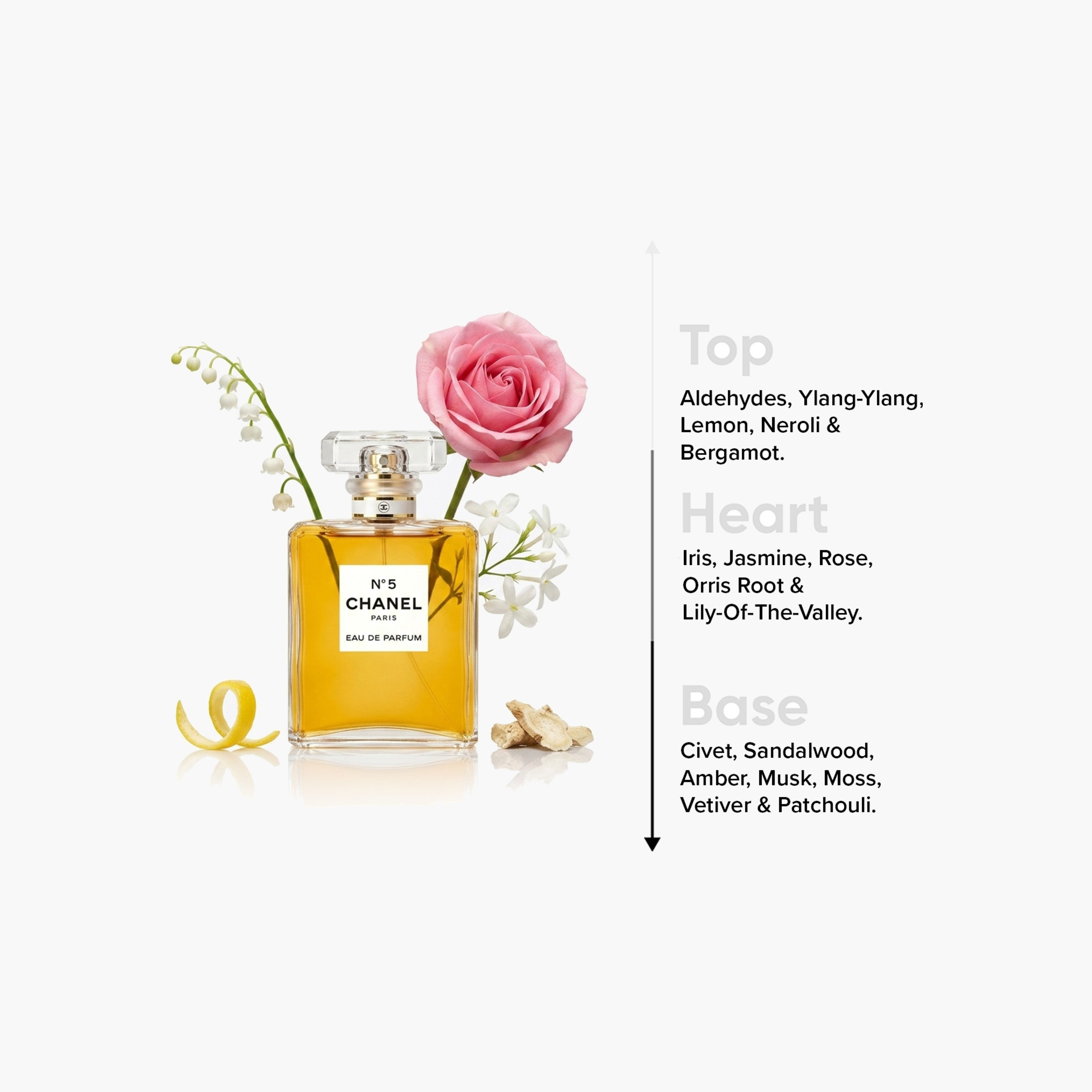 عطر أو دو بارفان للنساء No.5 من شانيل - 100 مل-beautyandpersonalcare-fragrance-women-image-4