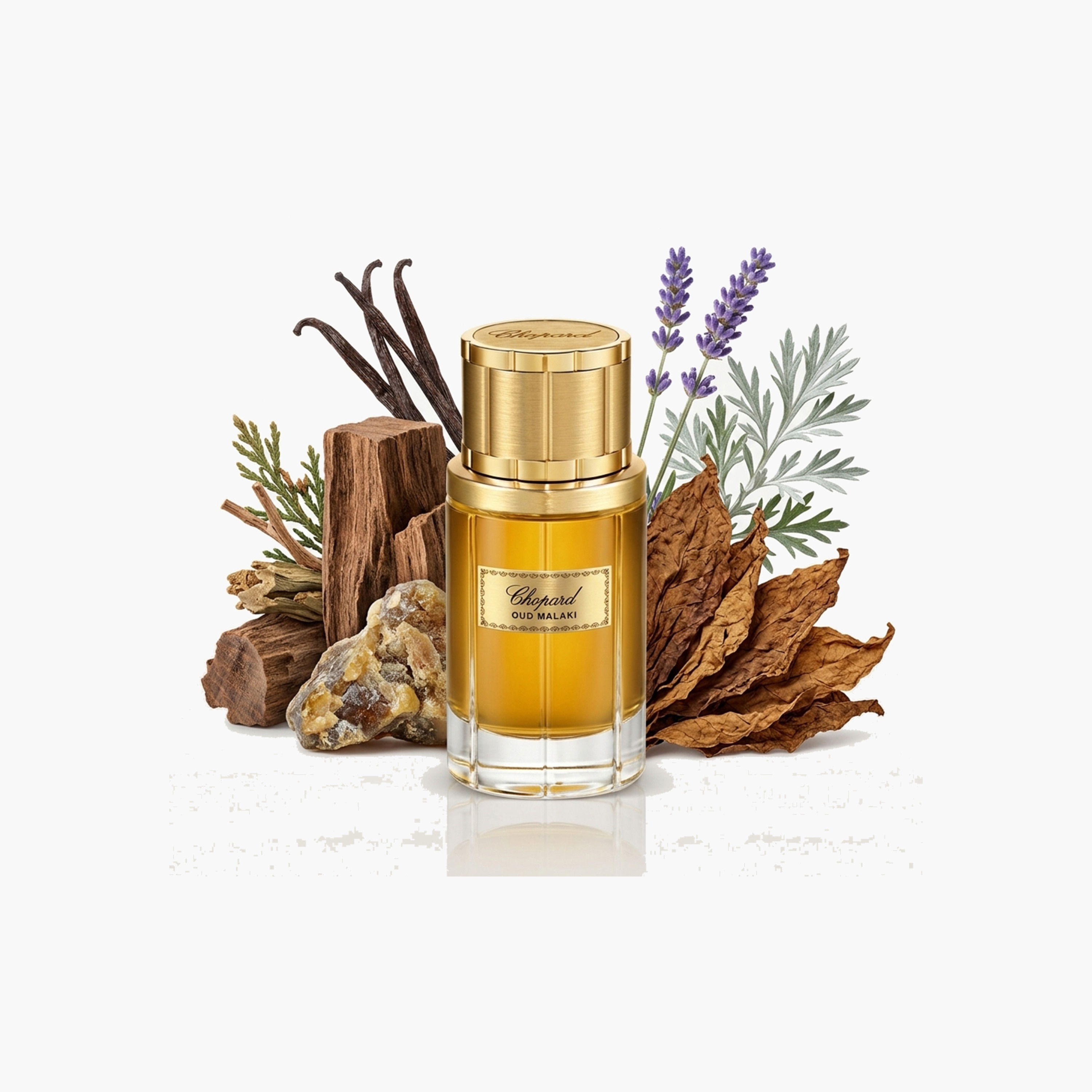 بخاخ عطر طبيعي أو دي بارفيوم عود مالكي للرجال من شوبارد - 80 مل-beautyandpersonalcare-fragrance-men-image-3