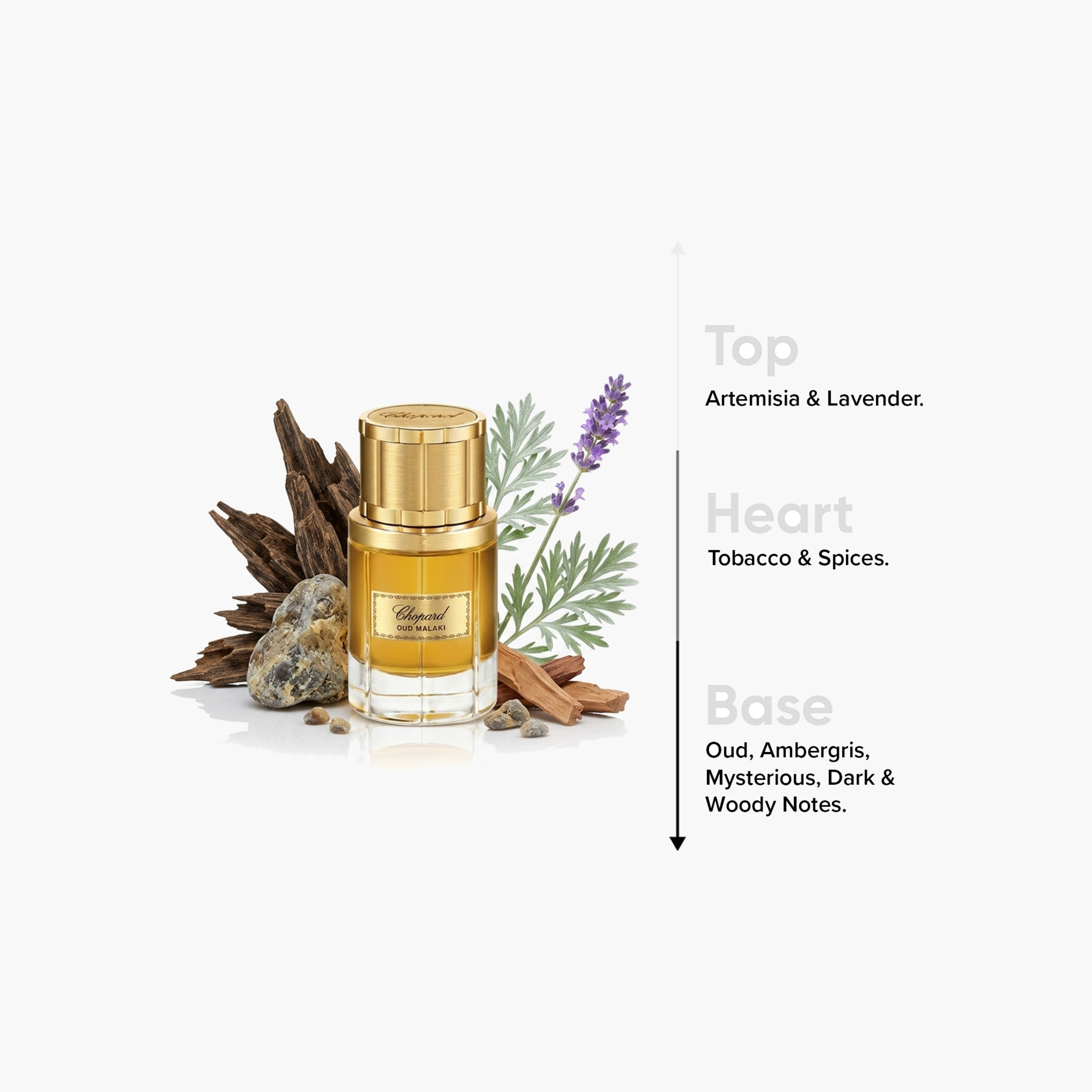 بخاخ عطر طبيعي أو دي بارفيوم عود مالكي للرجال من شوبارد - 80 مل-beautyandpersonalcare-fragrance-men-image-4