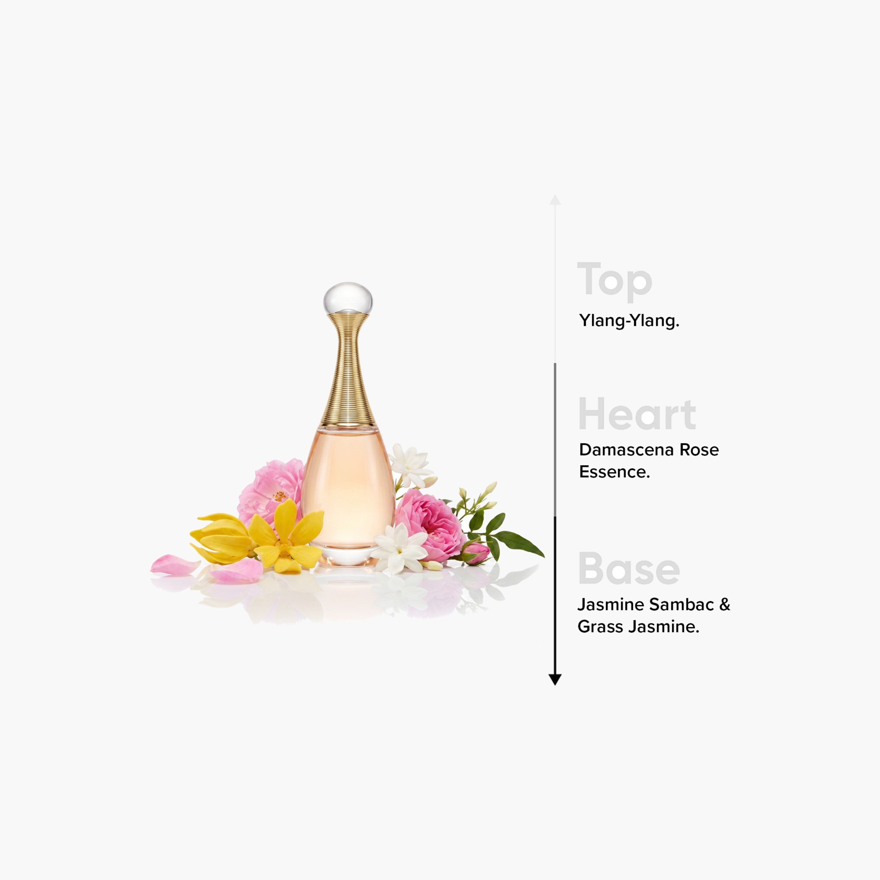 Christian Dior Jadore Eau De Parfum - 100 ml-beautyandpersonalcare-fragrance-women-image-5