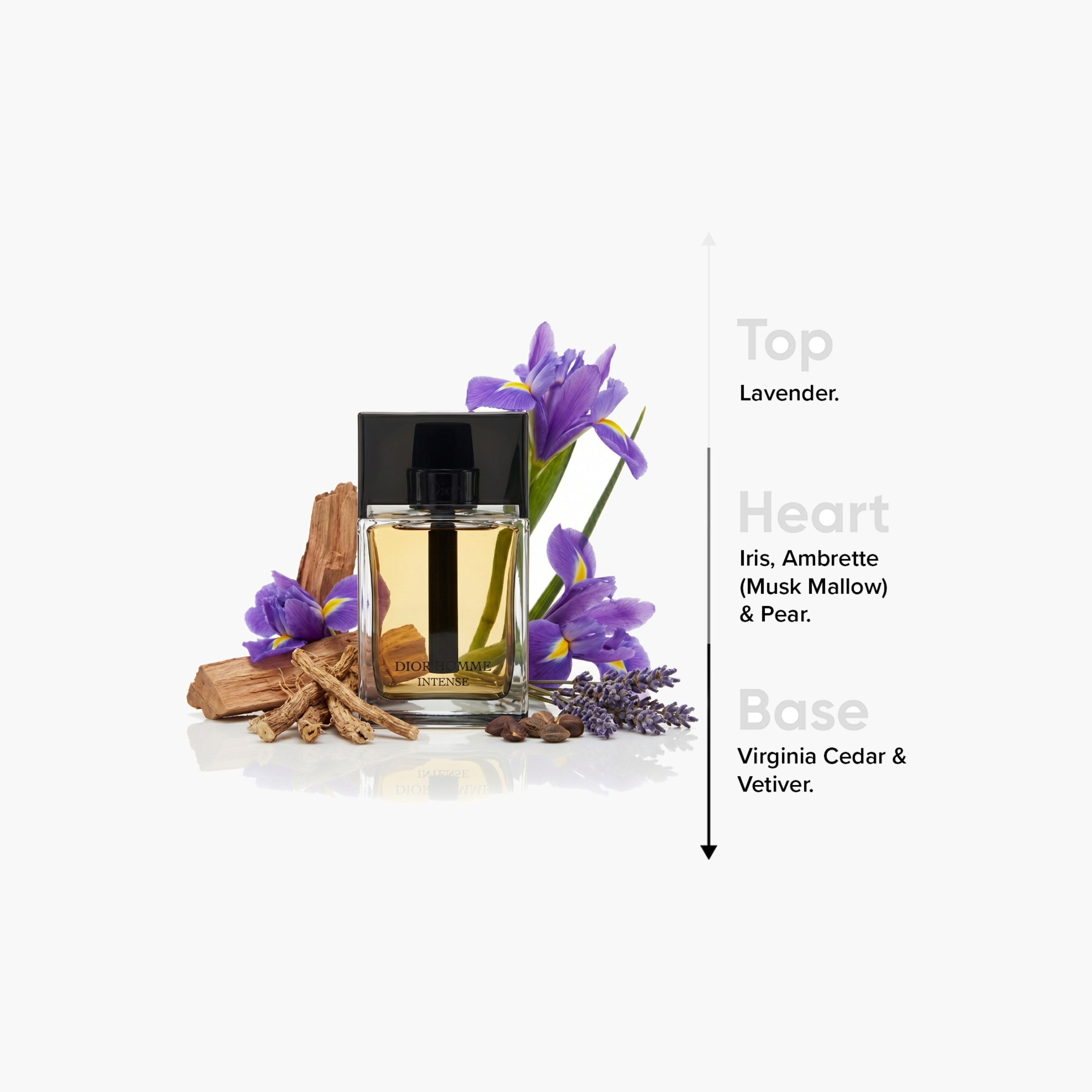 Christian Dior Homme Intense Eau de Parfum for Men - 100 ml-beautyandpersonalcare-fragrance-men-image-4
