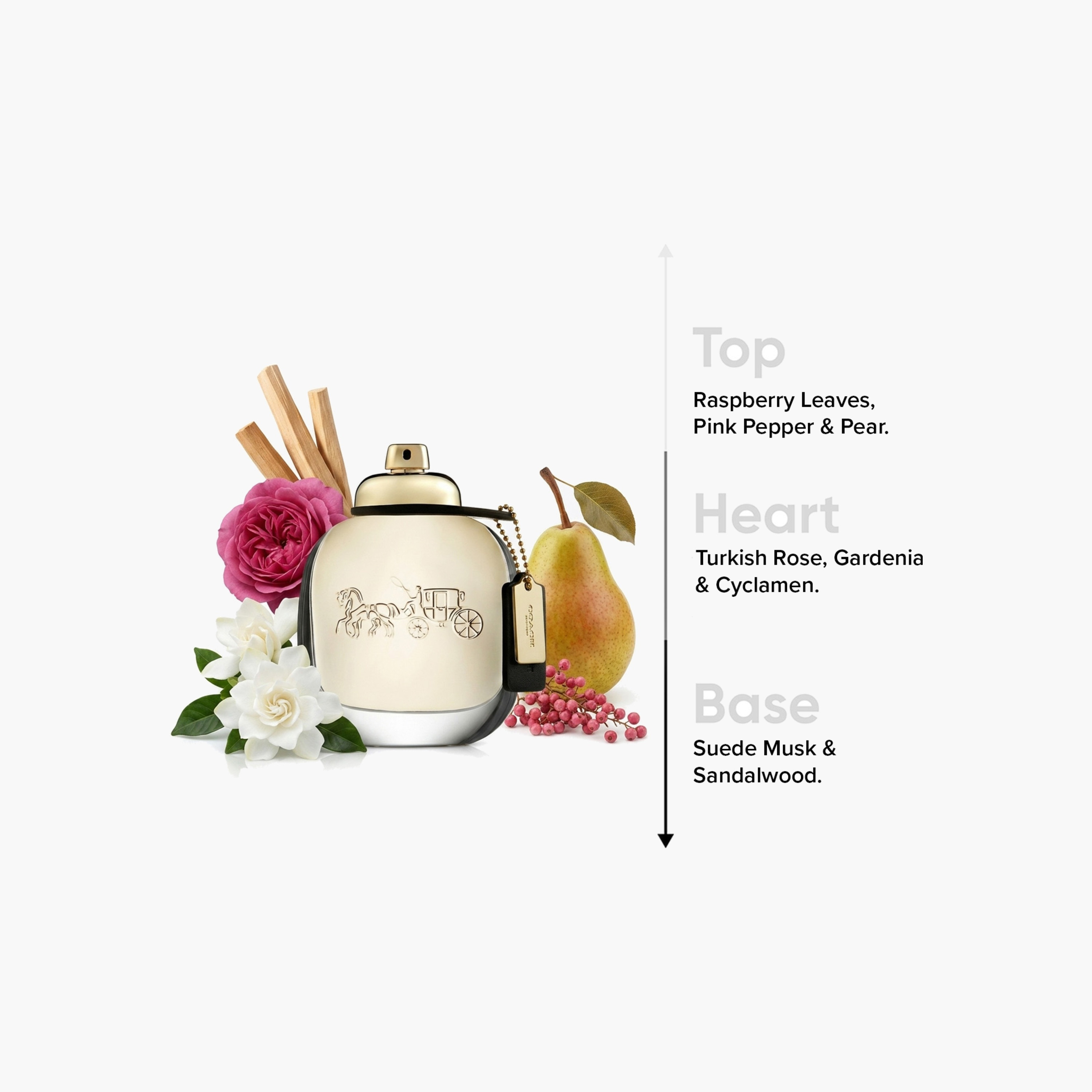 عطرو أو دو بارفان من كوتش - 90 مل-beautyandpersonalcare-fragrance-women-image-4