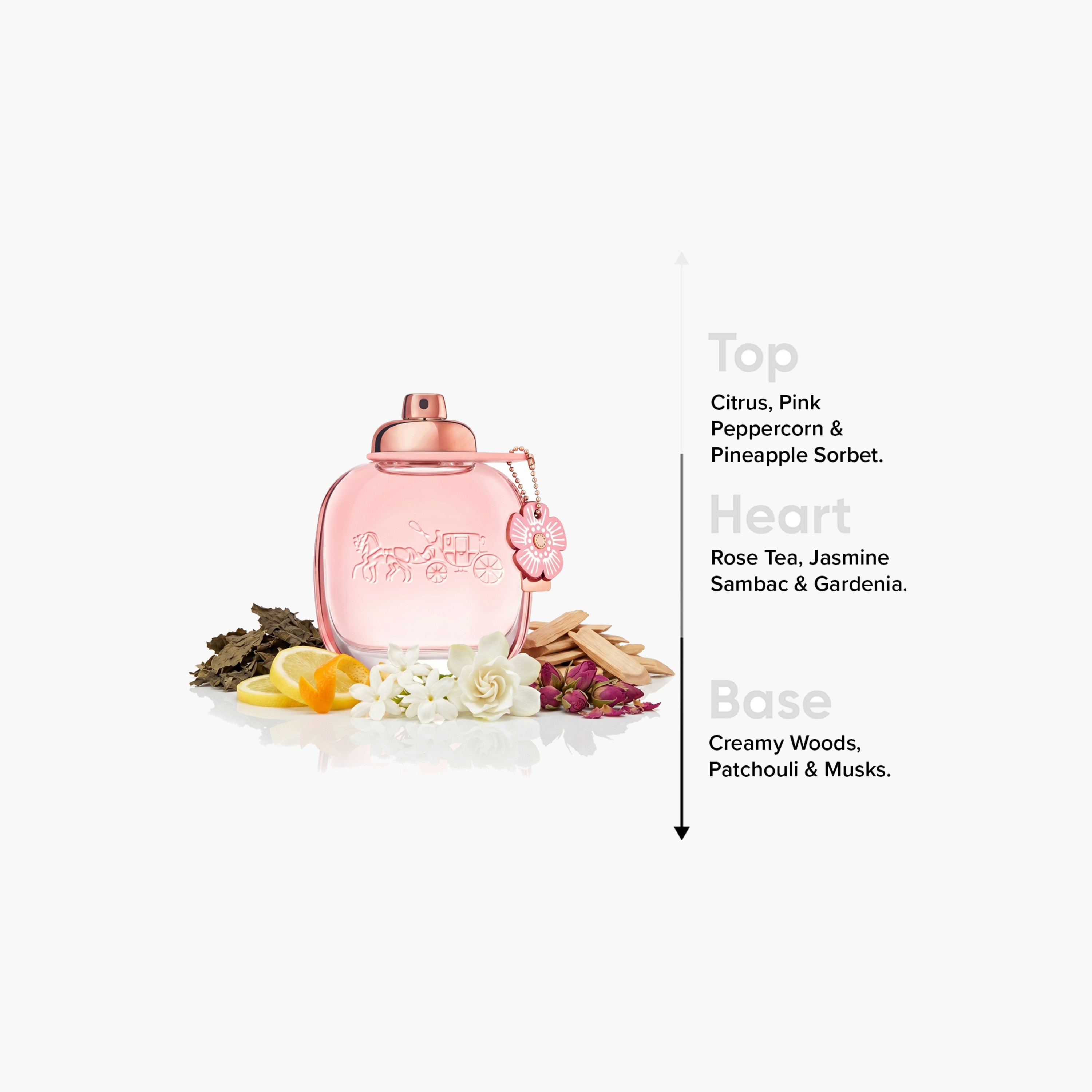Coach Floral Eau de Parfum for Women - 90 ml-beautyandpersonalcare-fragrance-women-image-4