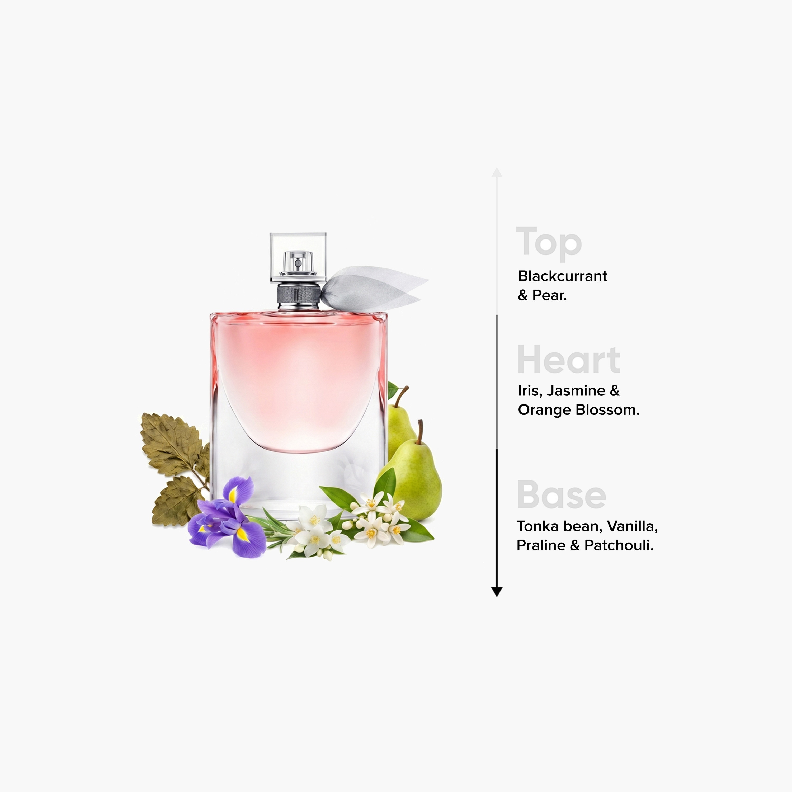 Lancome La Vie Est Belle Eau De Parfum Spray for Women - 75 ml-beautyandpersonalcare-fragrance-women-image-4