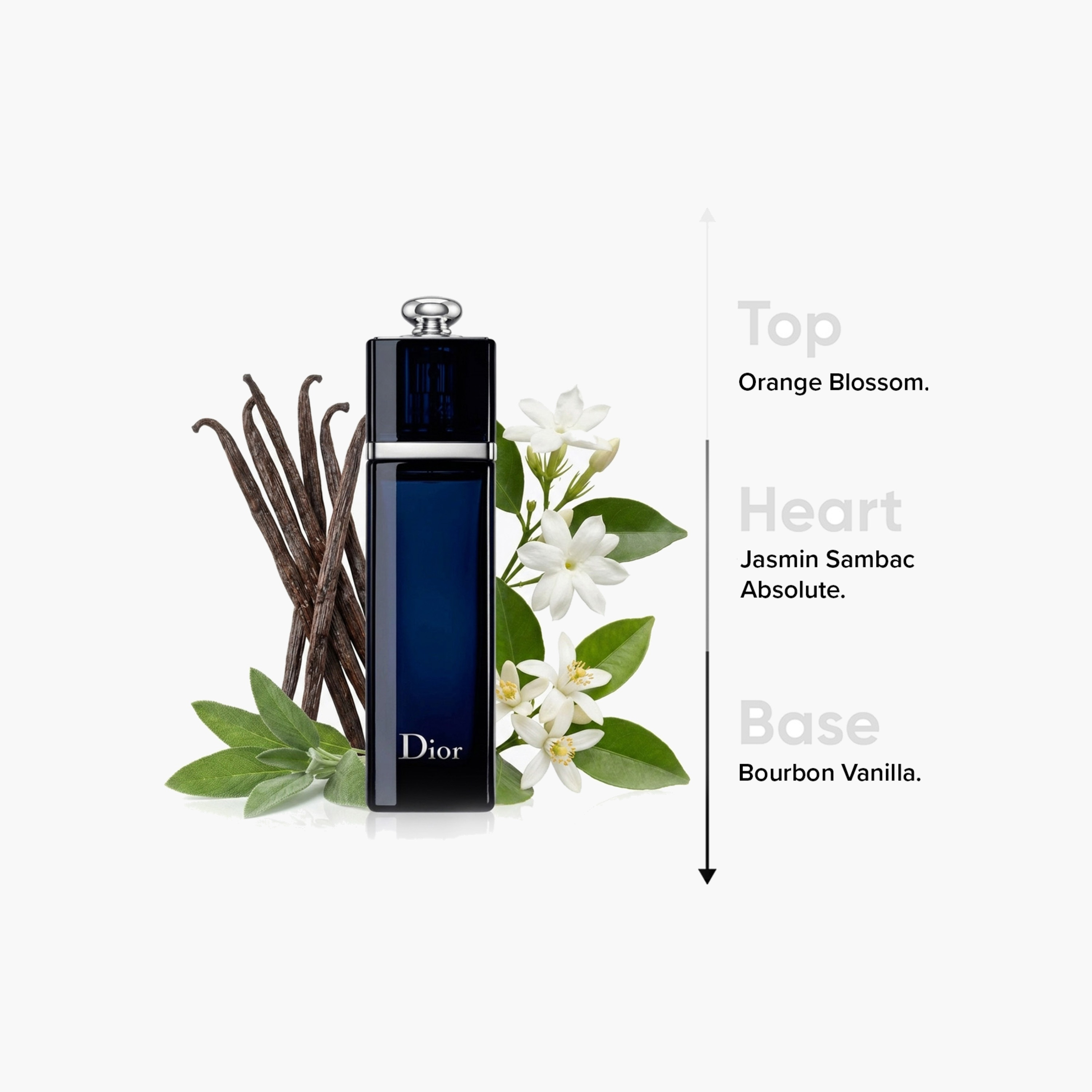 Christian Dior Dior Addict Eau De Parfum - 100 ml-beautyandpersonalcare-fragrance-women-image-4