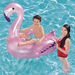Bestway Inflatable Flamingo Ride-On-Beach and Water Fun-thumbnailMobile-1