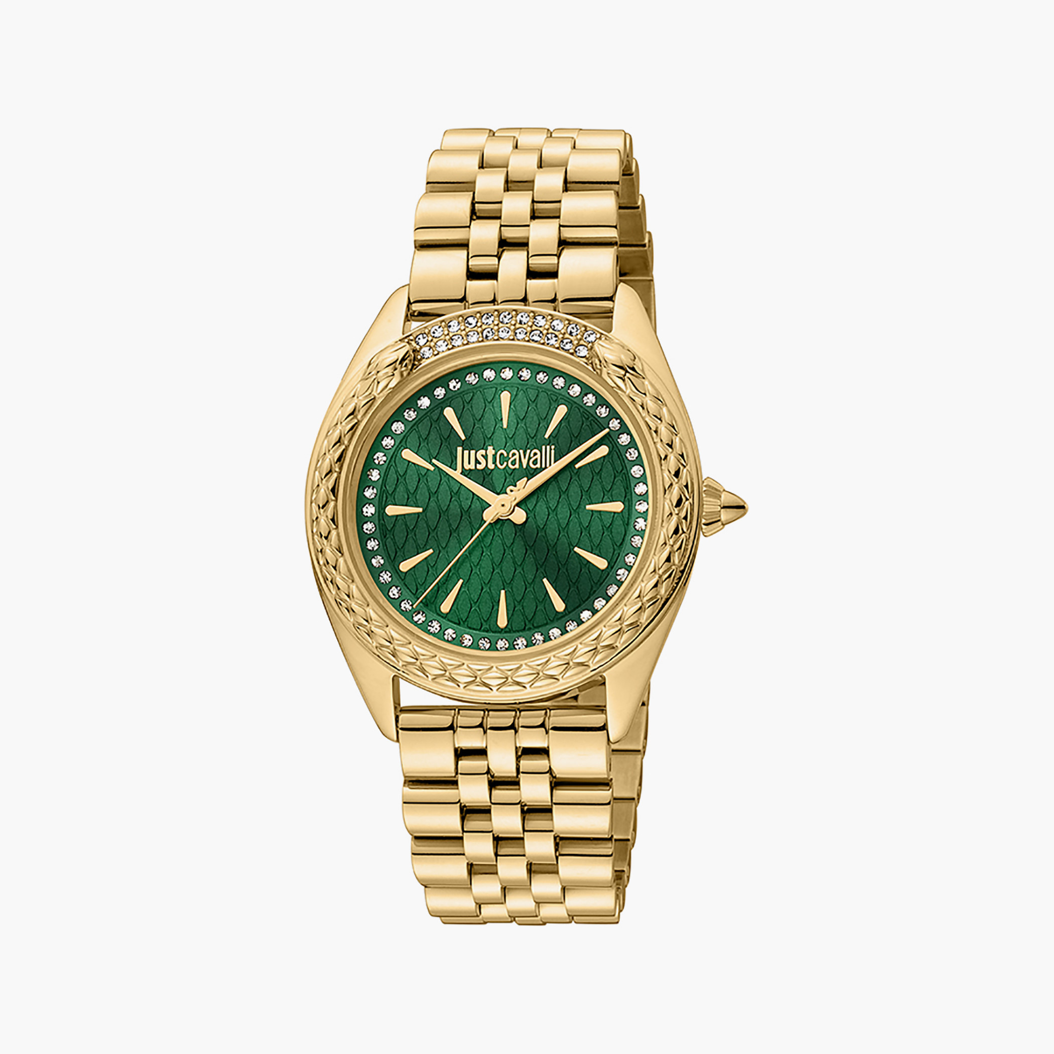 Just Cavalli Women Green Dial Analog Watch JC1L195M0365