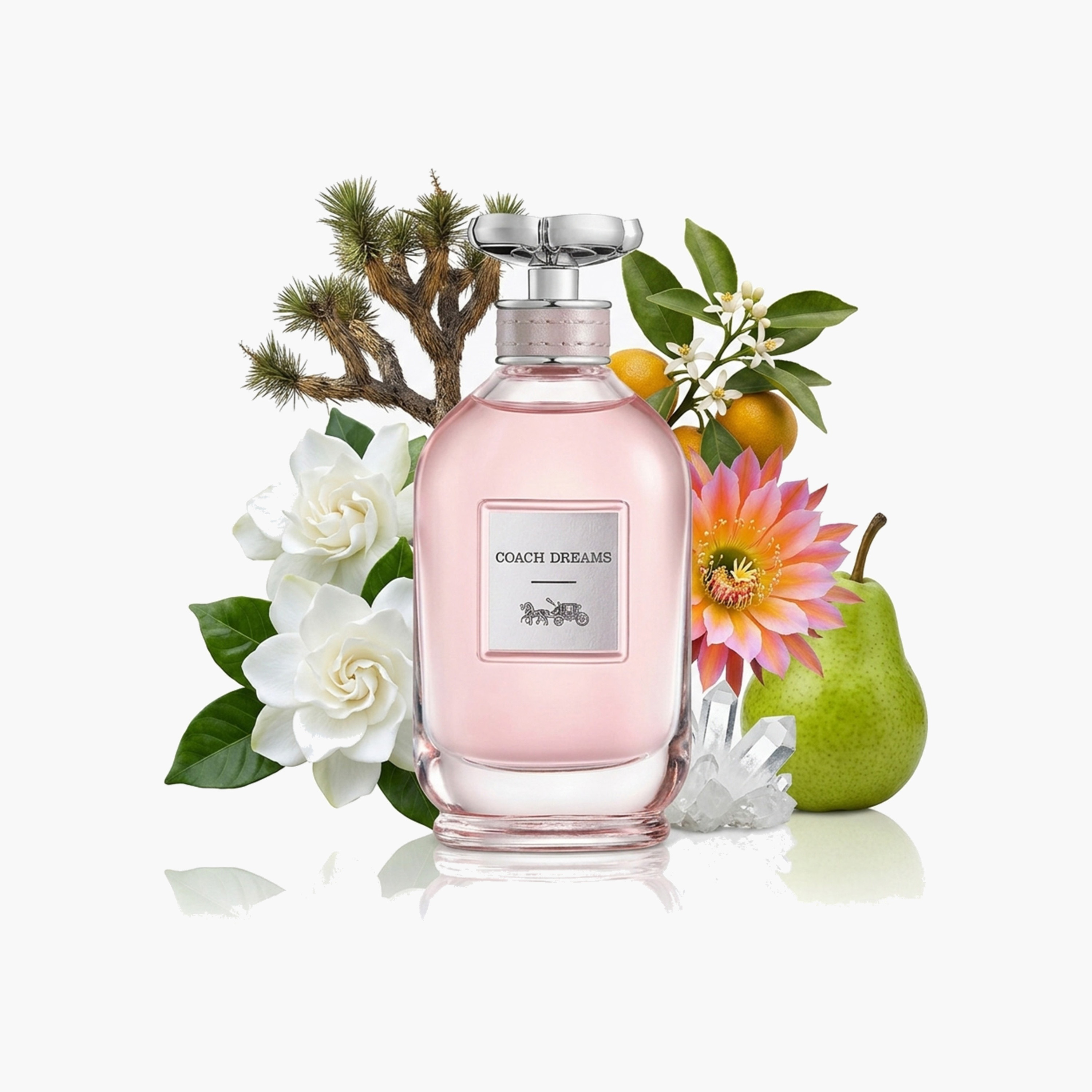 عطر أو دو بارفان دريمز من كوتش - 90 مل-beautyandpersonalcare-fragrance-women-image-3