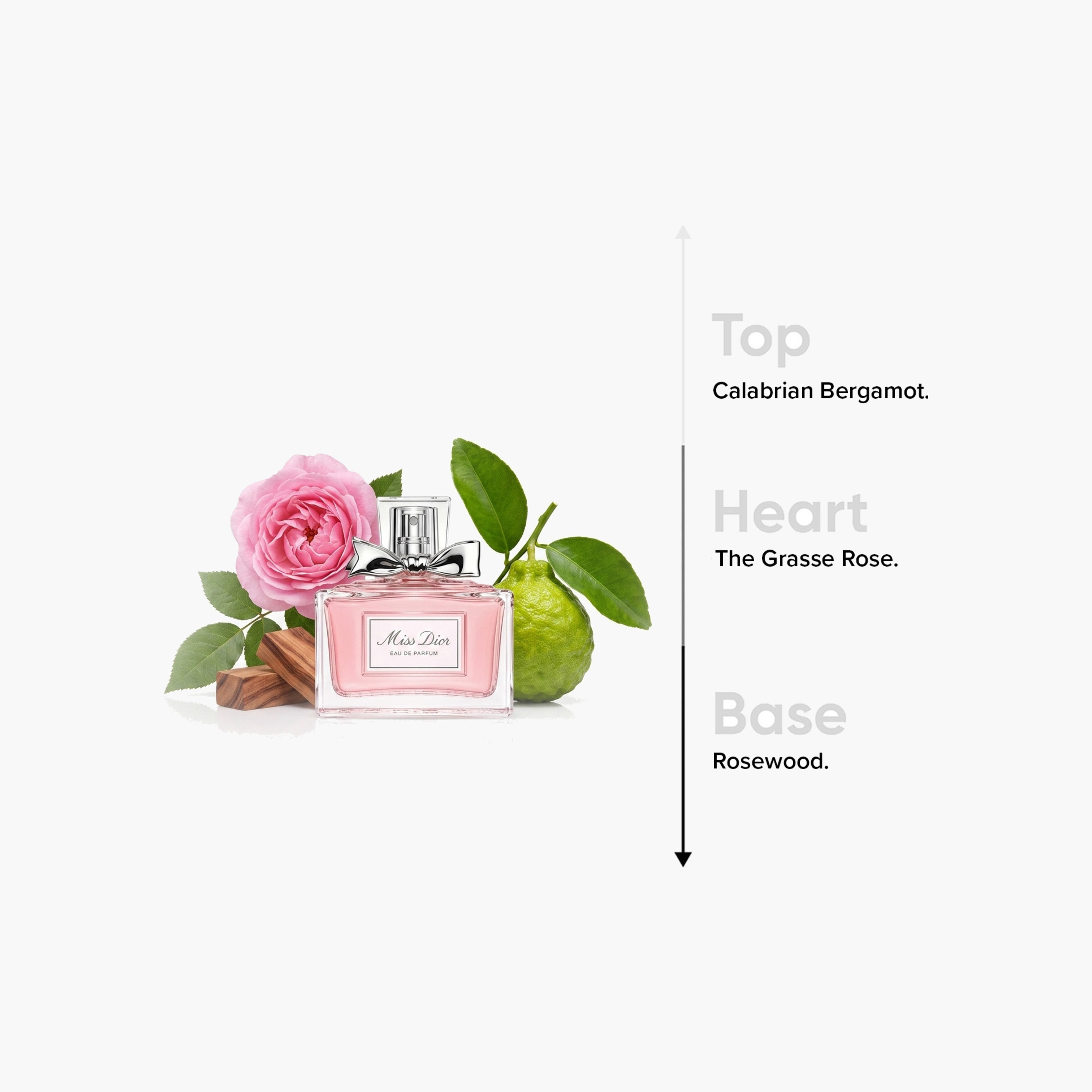 Christian Dior Miss Dior Women's Eau De Parfum - 100 ml-beautyandpersonalcare-fragrance-women-image-4