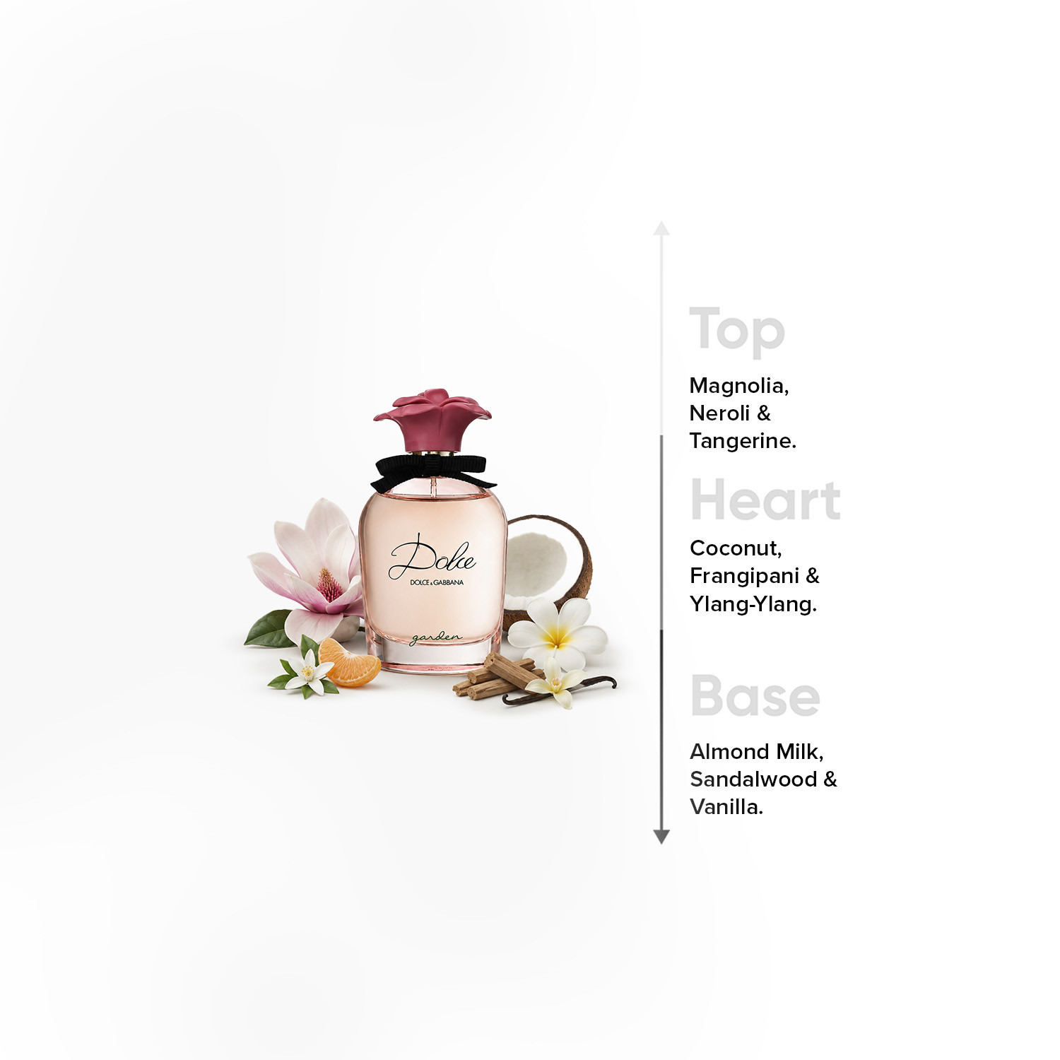 Dolce & Gabbana Dolce Garden Women's Eau De Parfum - 75 ml-beautyandpersonalcare-fragrance-women-image-4