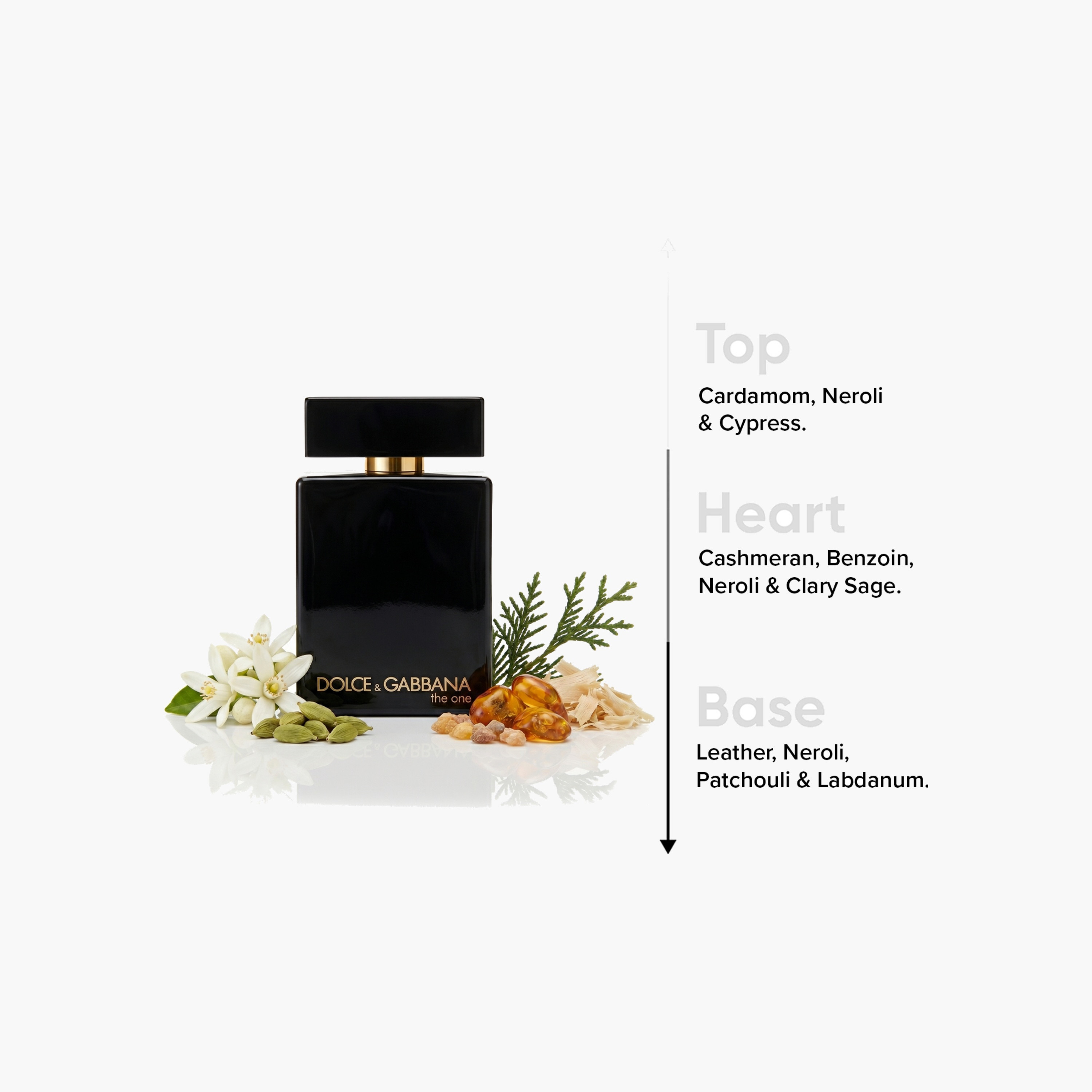 Dolce & Gabbana The One Intense Eau de Parfum for Men - 100 ml-beautyandpersonalcare-fragrance-men-image-4