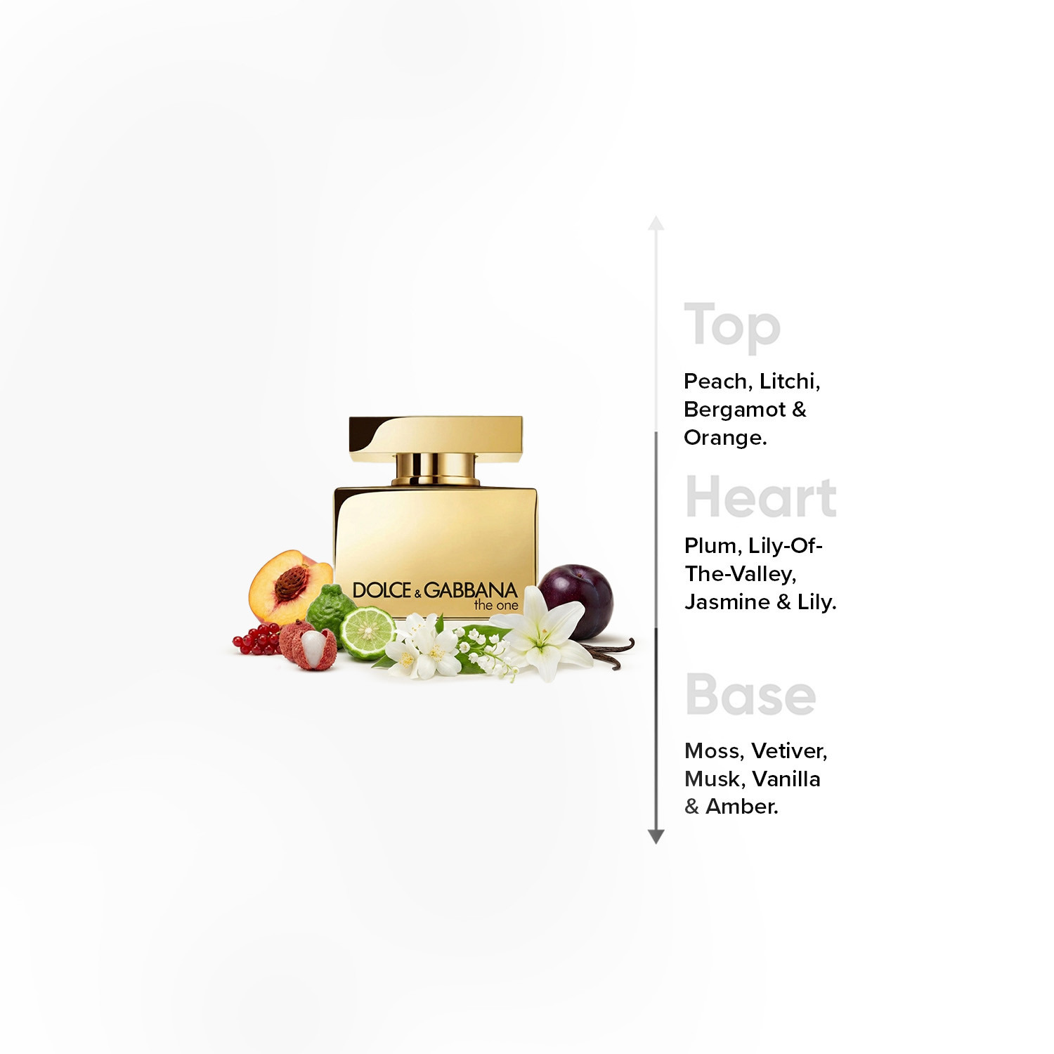 عطر أو دو بارفان ذا وان جولد انتنس للنساء من دولتشي آند غابانا - 50 مل-beautyandpersonalcare-fragrance-women-image-4