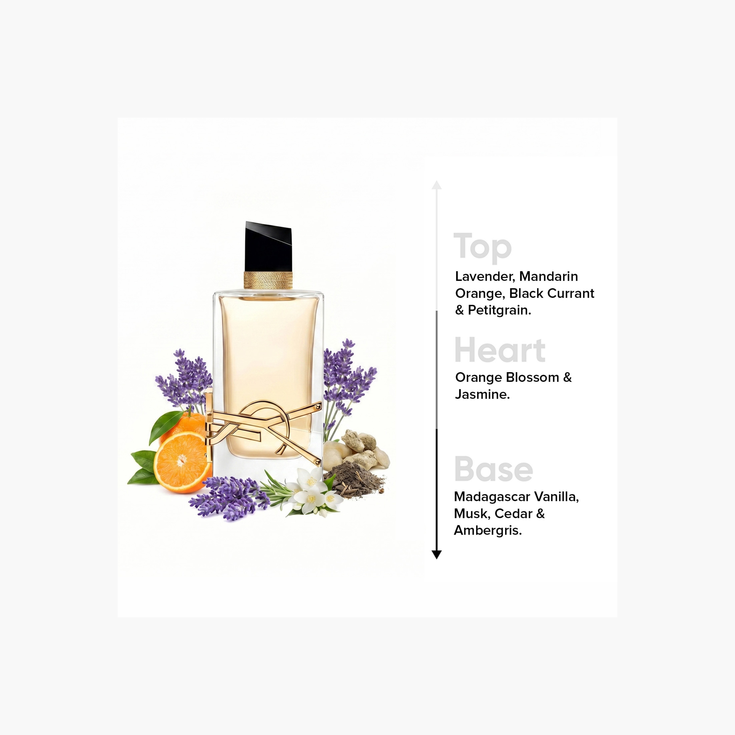 عطر أو دو بارفان ليبر للنساء من إيف سان لوران - 90 مل-beautyandpersonalcare-fragrance-women-image-4