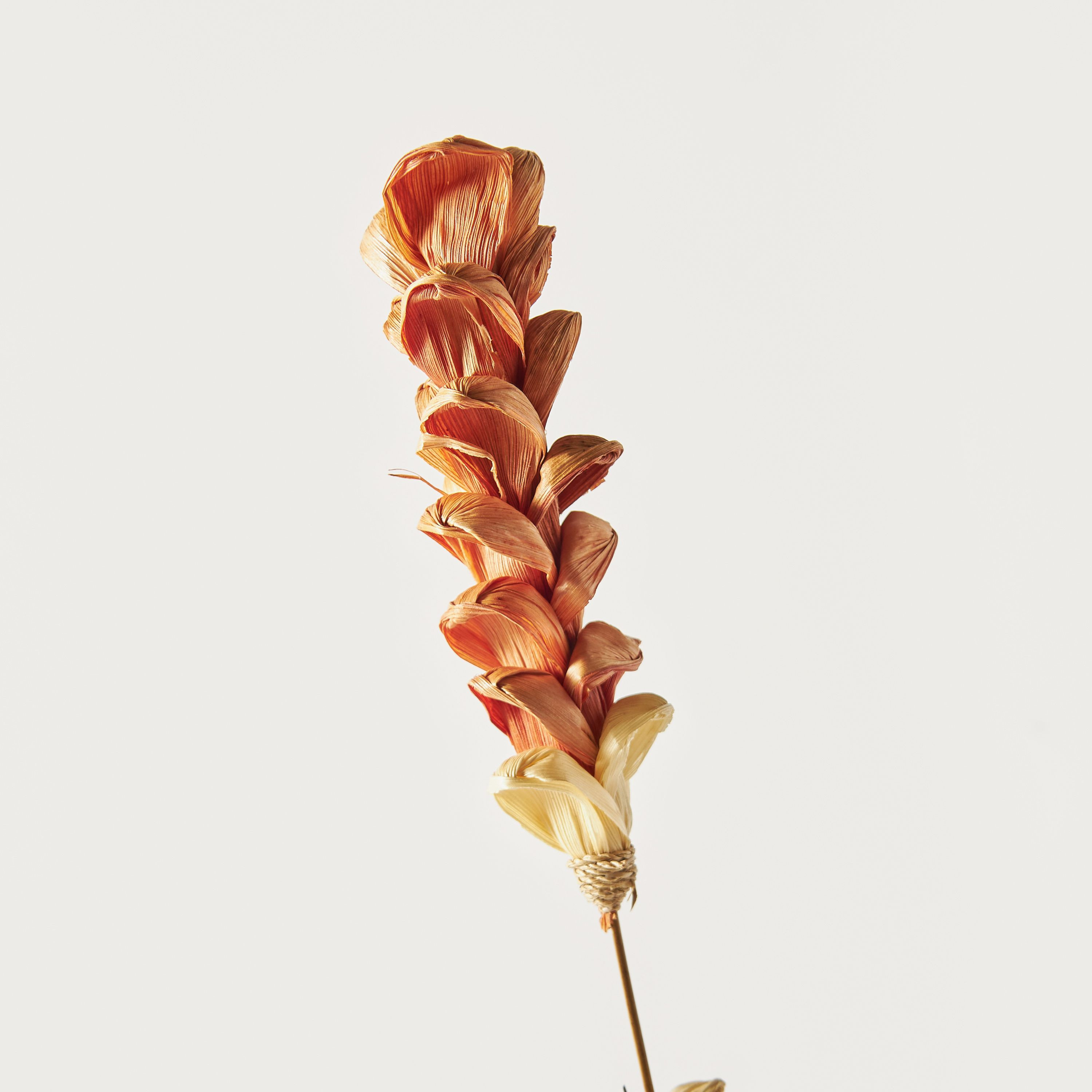 غصن زهرة ديكور - 160 سم-household-gardenandoutdoor-artificialflowersandplants-flowers-image-3