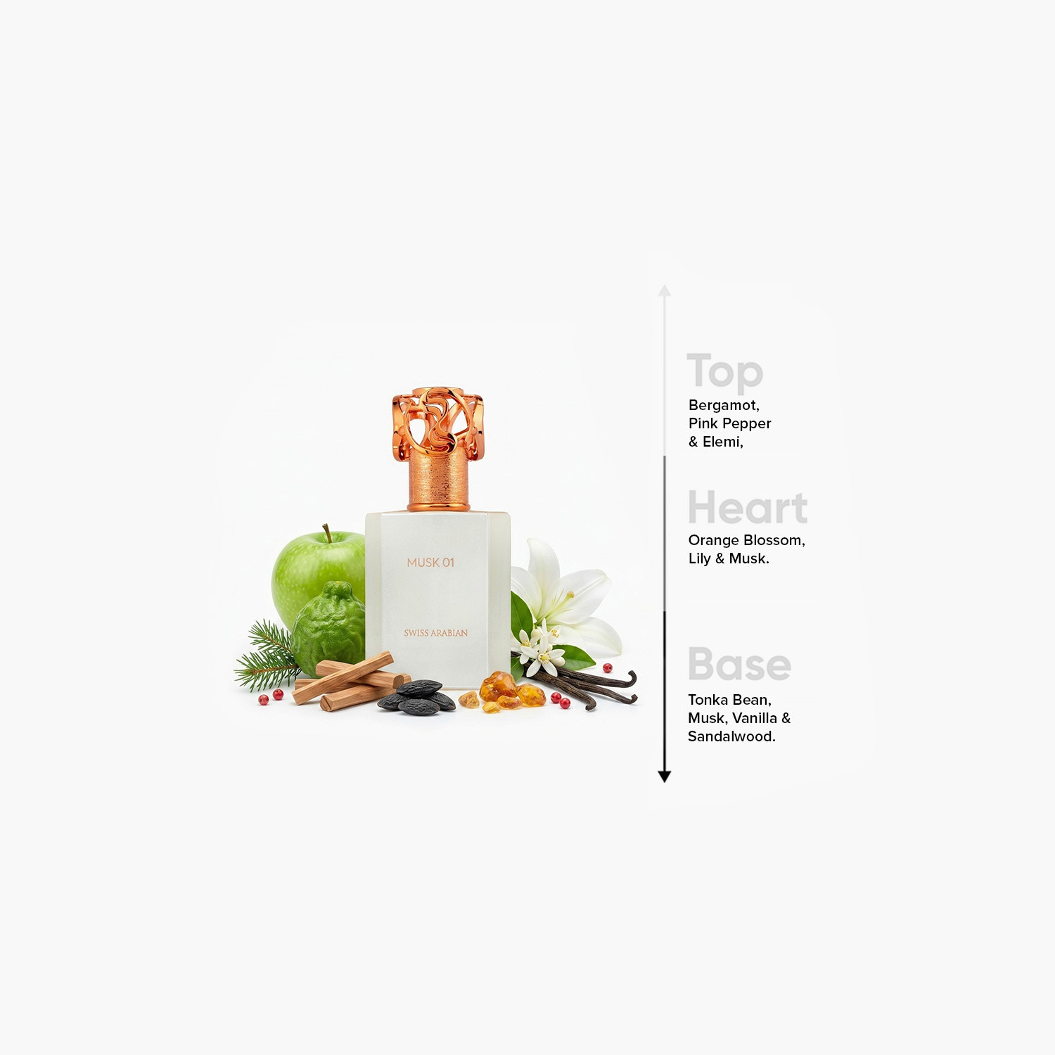 عطر أو دو بارفان مسك 01 من سويس أربيان - 50 مل-beautyandpersonalcare-fragrance-men-image-4