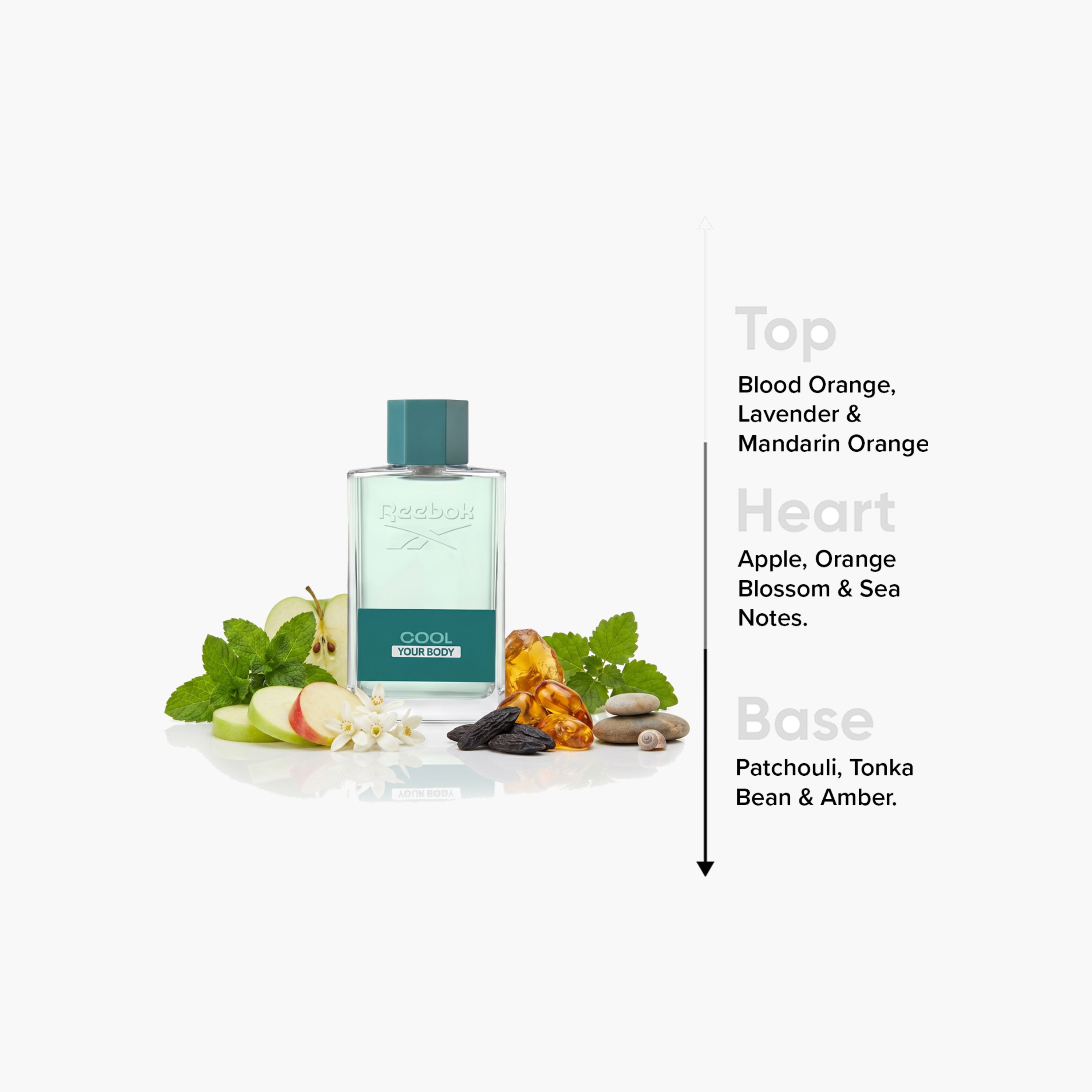 Reebok Cool Your Body Eau de Toilette for Men - 100 ml-beautyandpersonalcare-fragrance-men-image-4