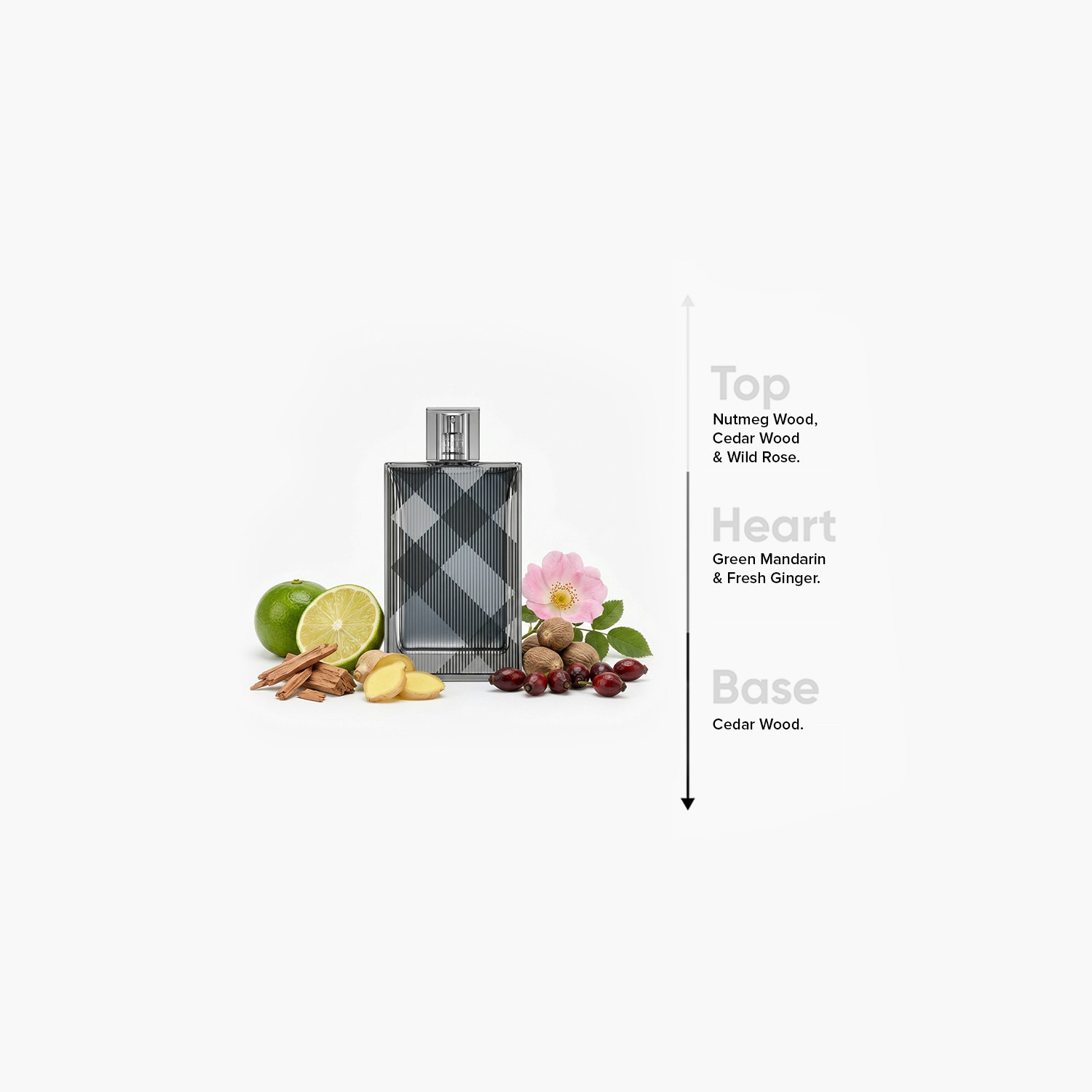 عطر أو دو تواليت بريت من بربري - 100 مل-beautyandpersonalcare-fragrance-men-image-4