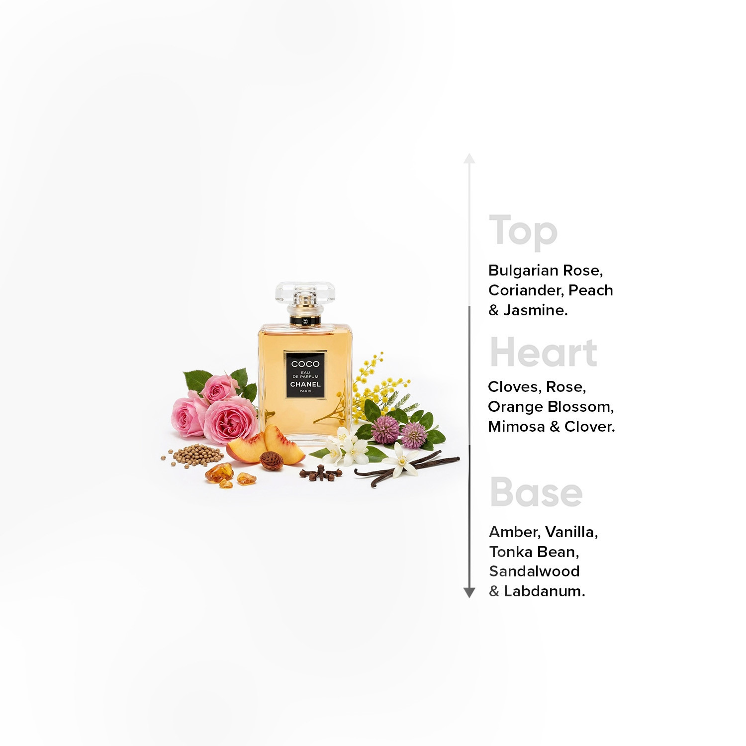 عطر أو دو بارفان للنساء كوكو شانيل من شانيل - 100 مل-beautyandpersonalcare-fragrance-women-image-4