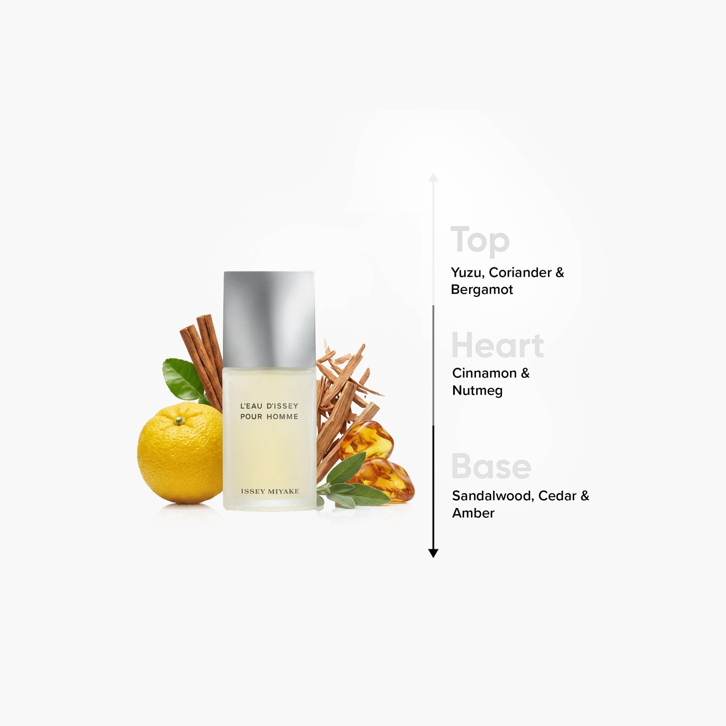 Issey miyake L'eau D'issey EDT - 125 ml-beautyandpersonalcare-fragrance-men-image-4