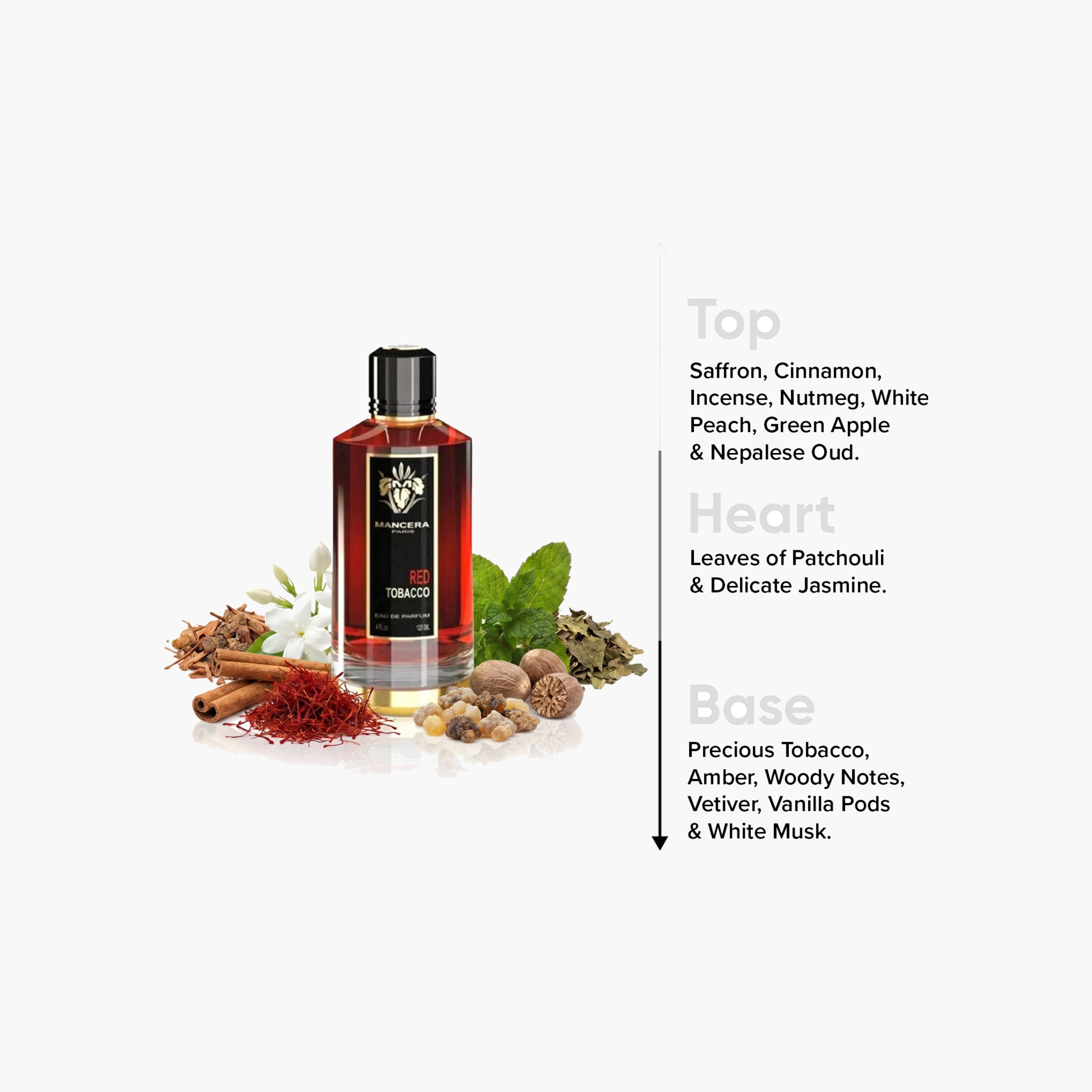 عطرأو دو برفيوم ريد توباكو من من مانسيرا - 120 مل-beautyandpersonalcare-fragrance-men-image-4
