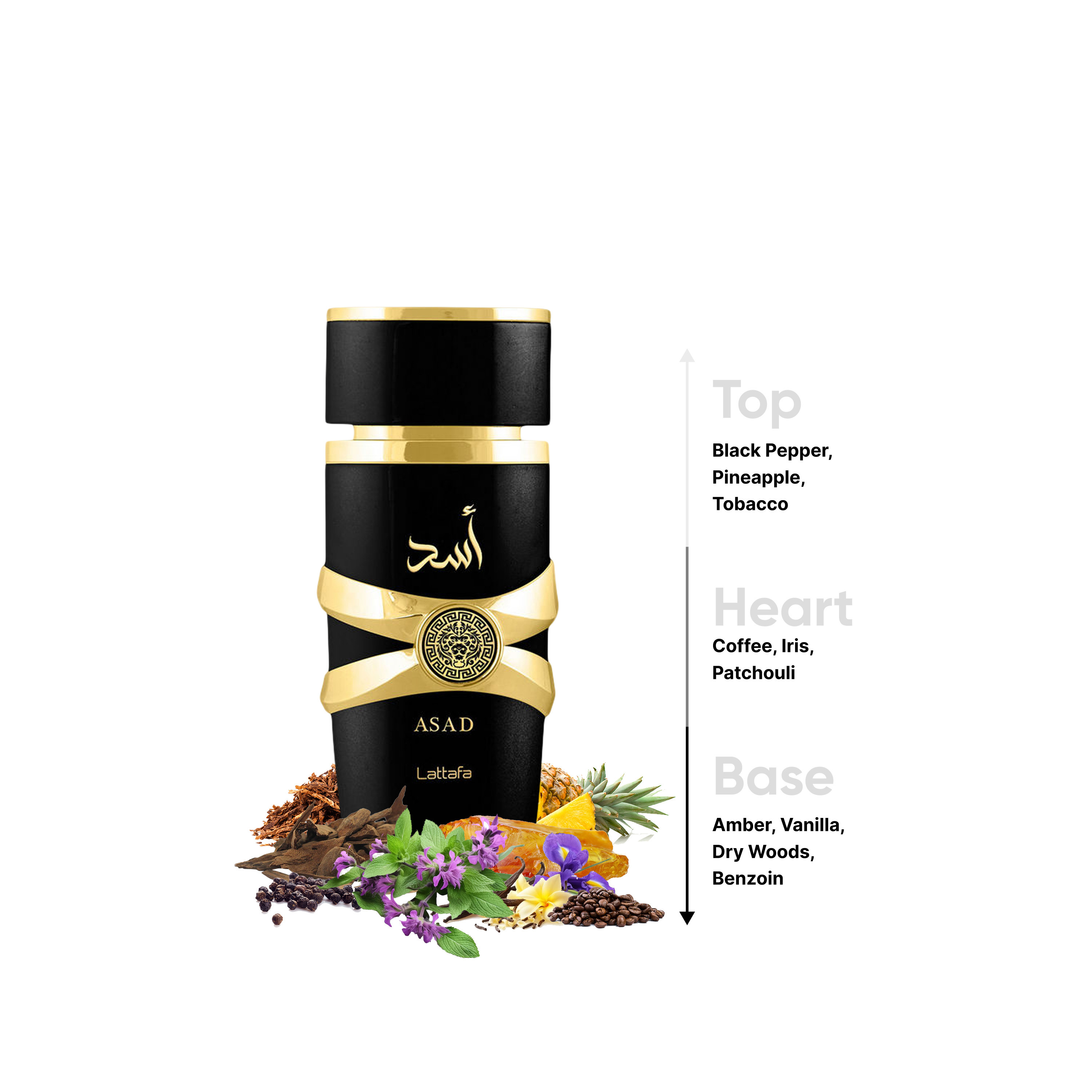 عطر أو دو بارفان أسد من لطافة - 100 مل-beautyandpersonalcare-fragrance-unisex-image-4