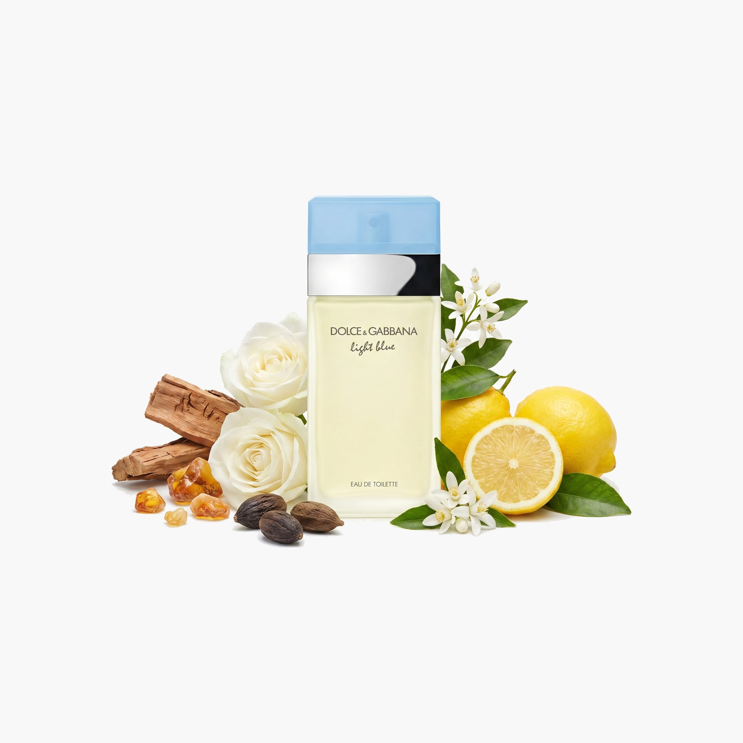 Dolce & Gabbana Light Blue Eau De Toilette Natural Spray for Women - 100 ml-beautyandpersonalcare-fragrance-women-image-3