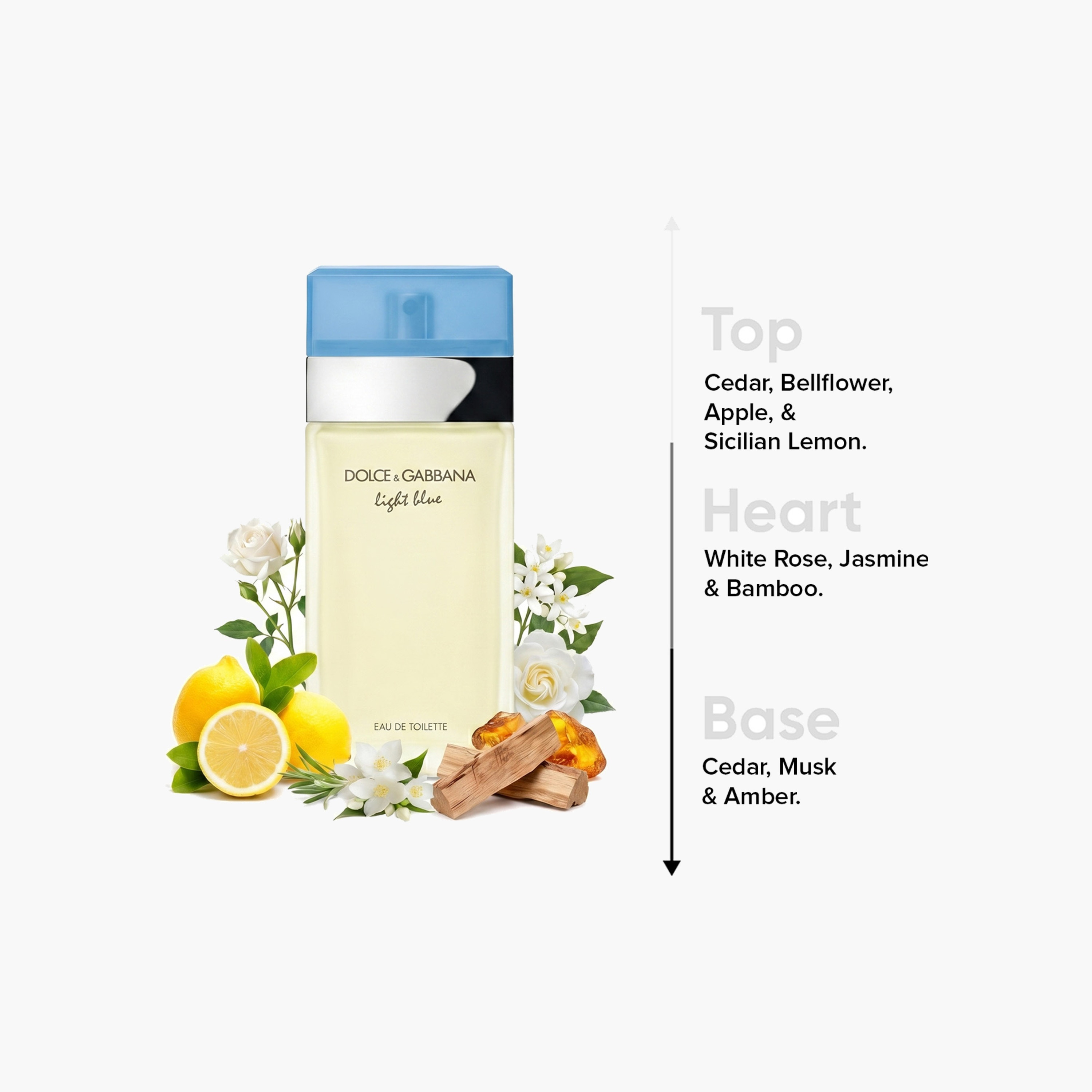 Dolce & Gabbana Light Blue Eau De Toilette Natural Spray for Women - 100 ml-beautyandpersonalcare-fragrance-women-image-4