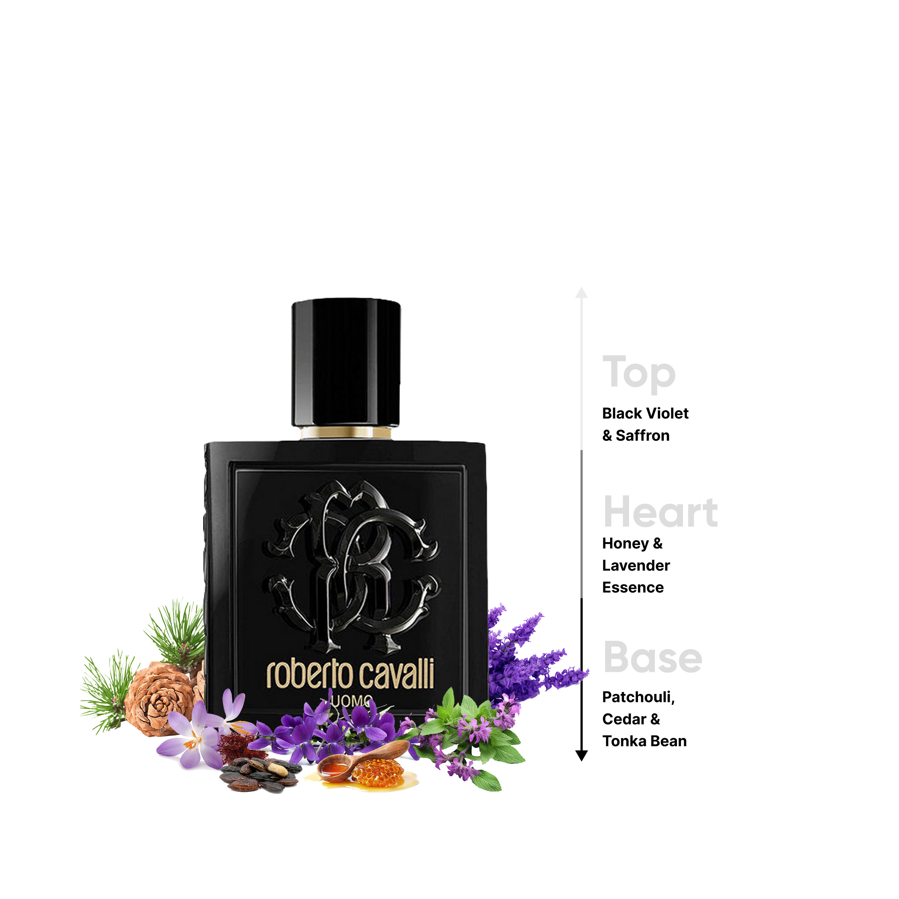 Roberto Cavalli Uomo Natural Spray for Men - 100 ml-beautyandpersonalcare-fragrance-men-image-4