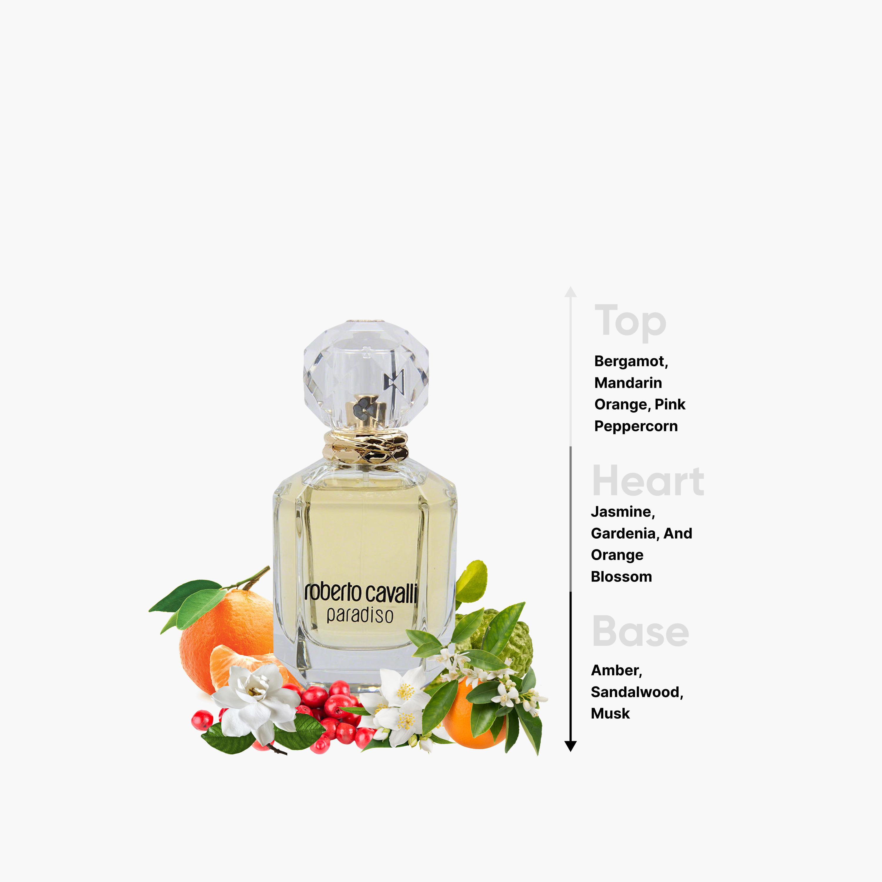 Roberto Cavalli Paradiso Floral Eau de Parfum for Women - 75 ml-beautyandpersonalcare-fragrance-women-image-3