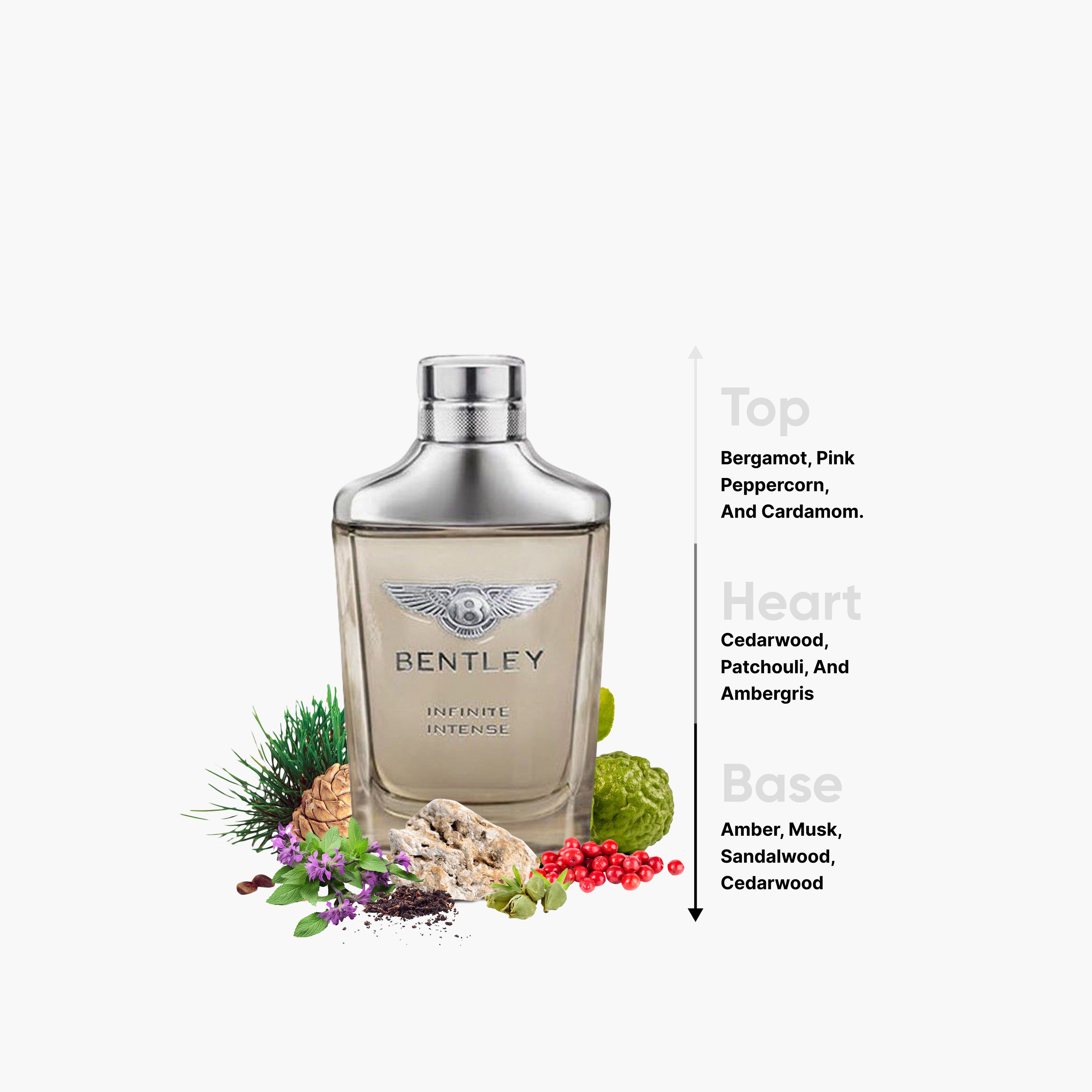 Bentley Infinite Intense Eau De Parfum Perfume for Men - 100 ml-beautyandpersonalcare-fragrance-men-image-4