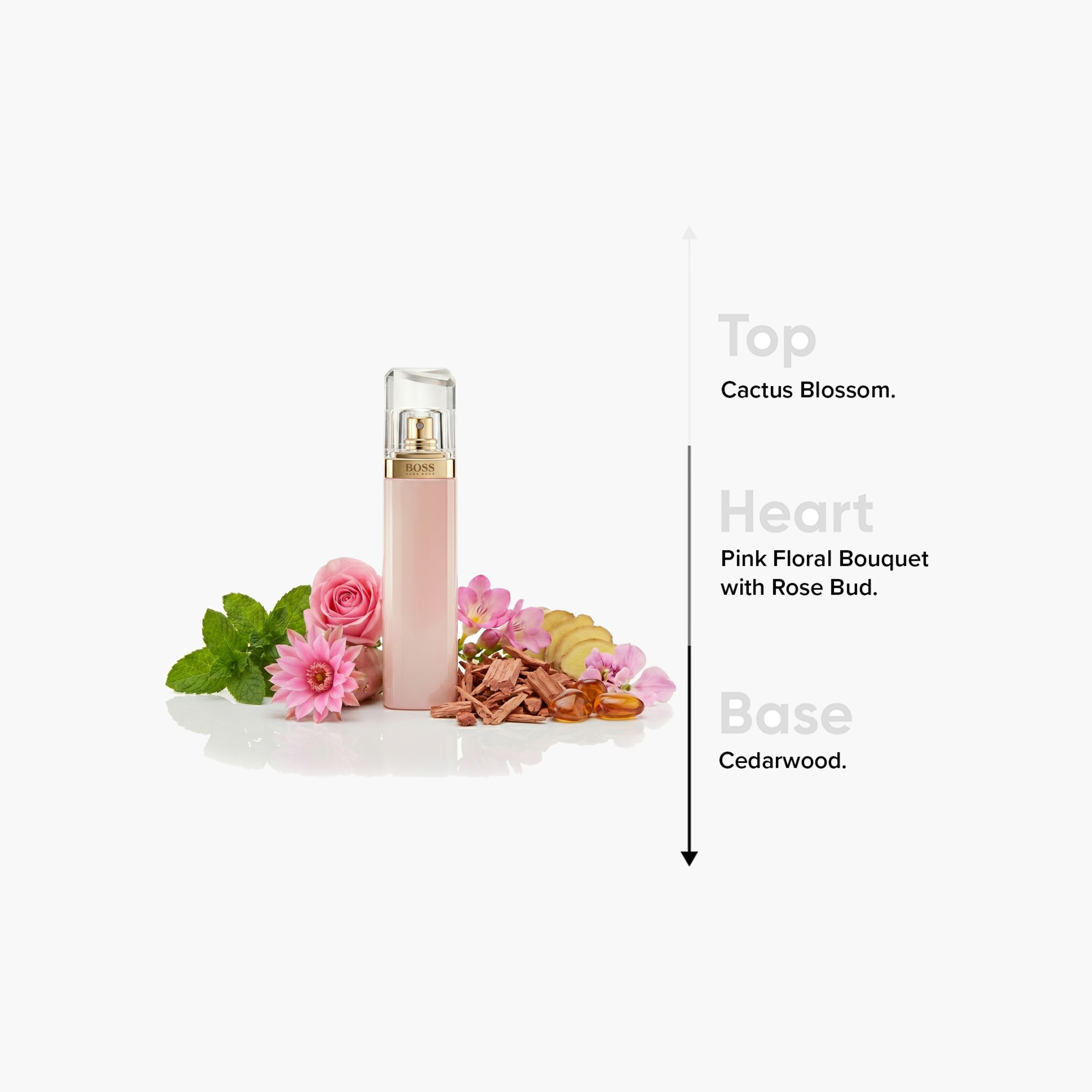 Hugo Boss Ma Vie Eau De Parfum Natural Spray for Women - 75 ml-beautyandpersonalcare-fragrance-women-image-4