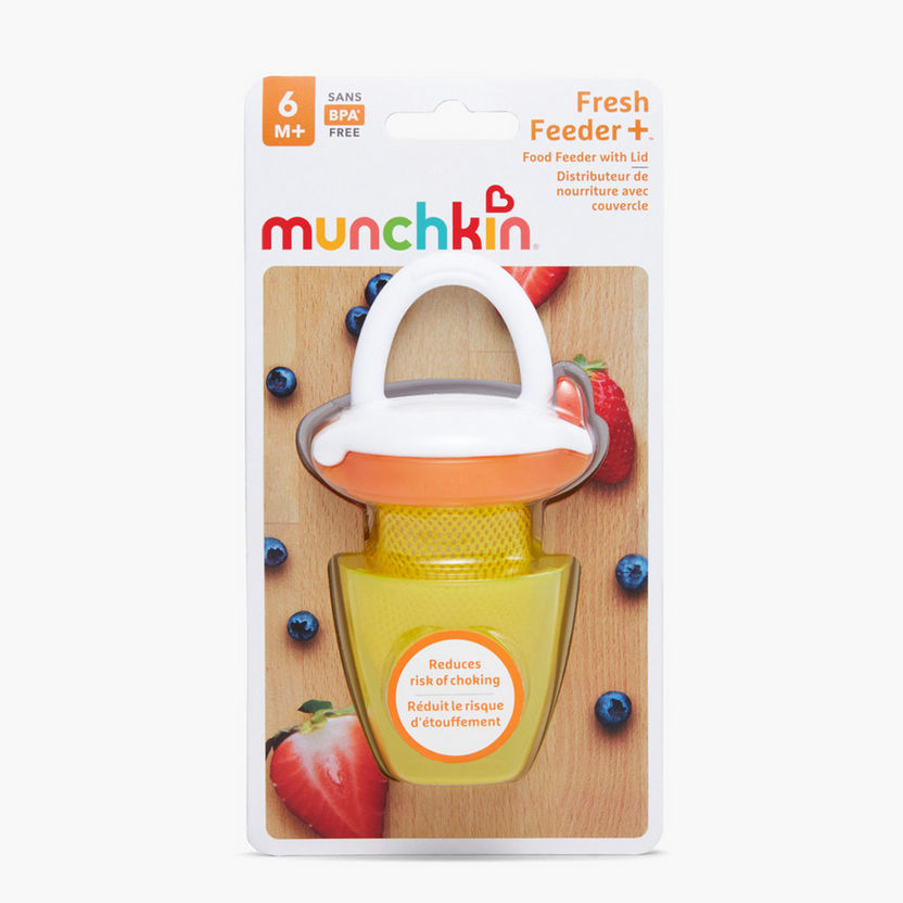 Munchkin Fresh Food Feeder with Lid-Mealtime Essentials-image-0