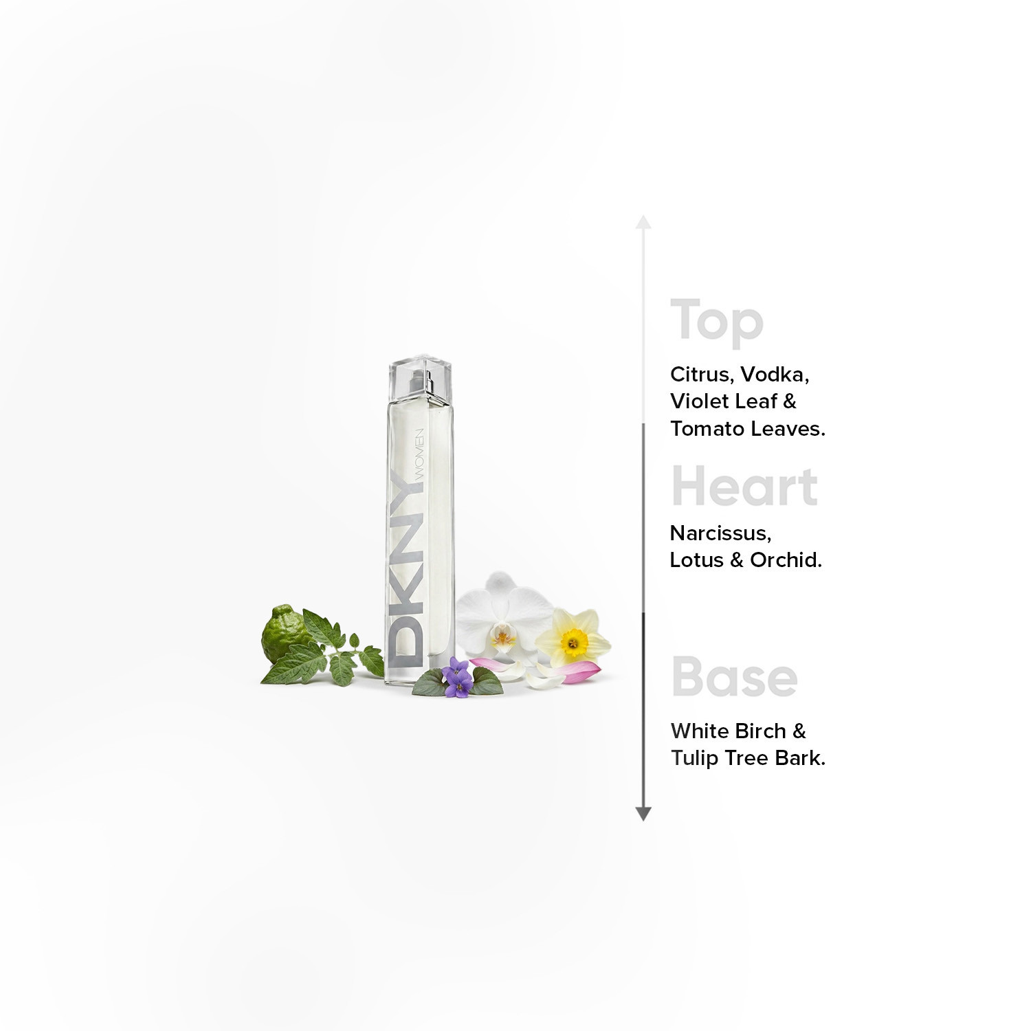 بخاخ معطر للجسم أو دو برفيوم نيويورك إنيرجيزنج من دونا كاران- 100 مل-beautyandpersonalcare-fragrance-women-image-4