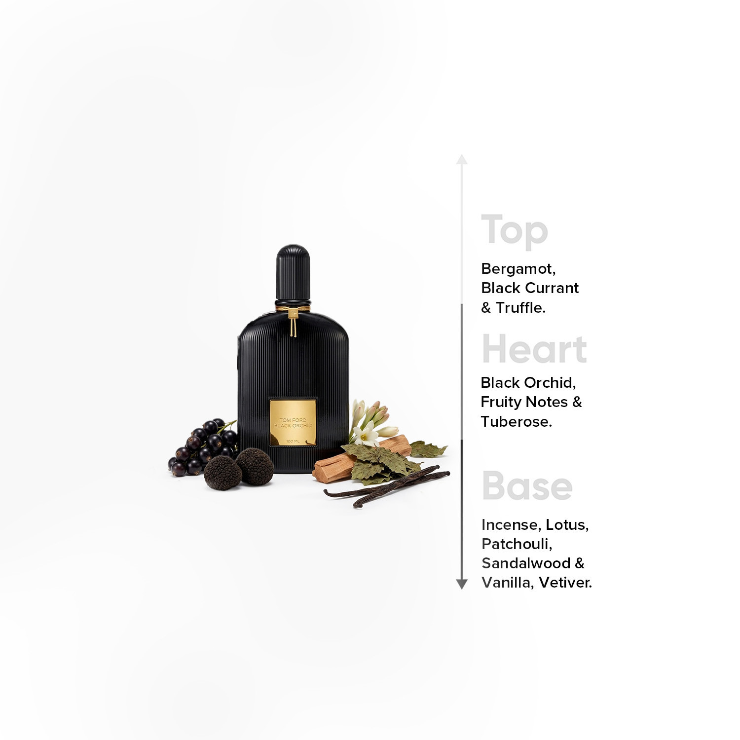 Tom Ford Black Orchid  - 100 ml-beautyandpersonalcare-fragrance-women-image-4