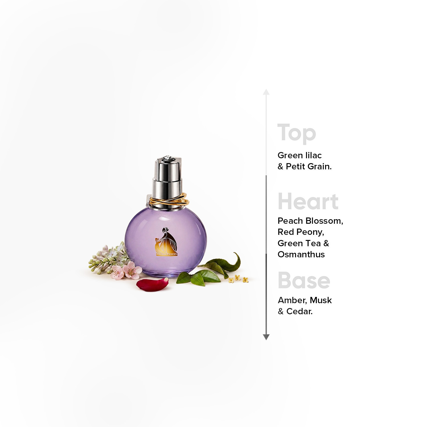 أو دي برفيوم ايكلات دي أربيج من لانفين - 100 مل-beautyandpersonalcare-fragrance-women-image-4