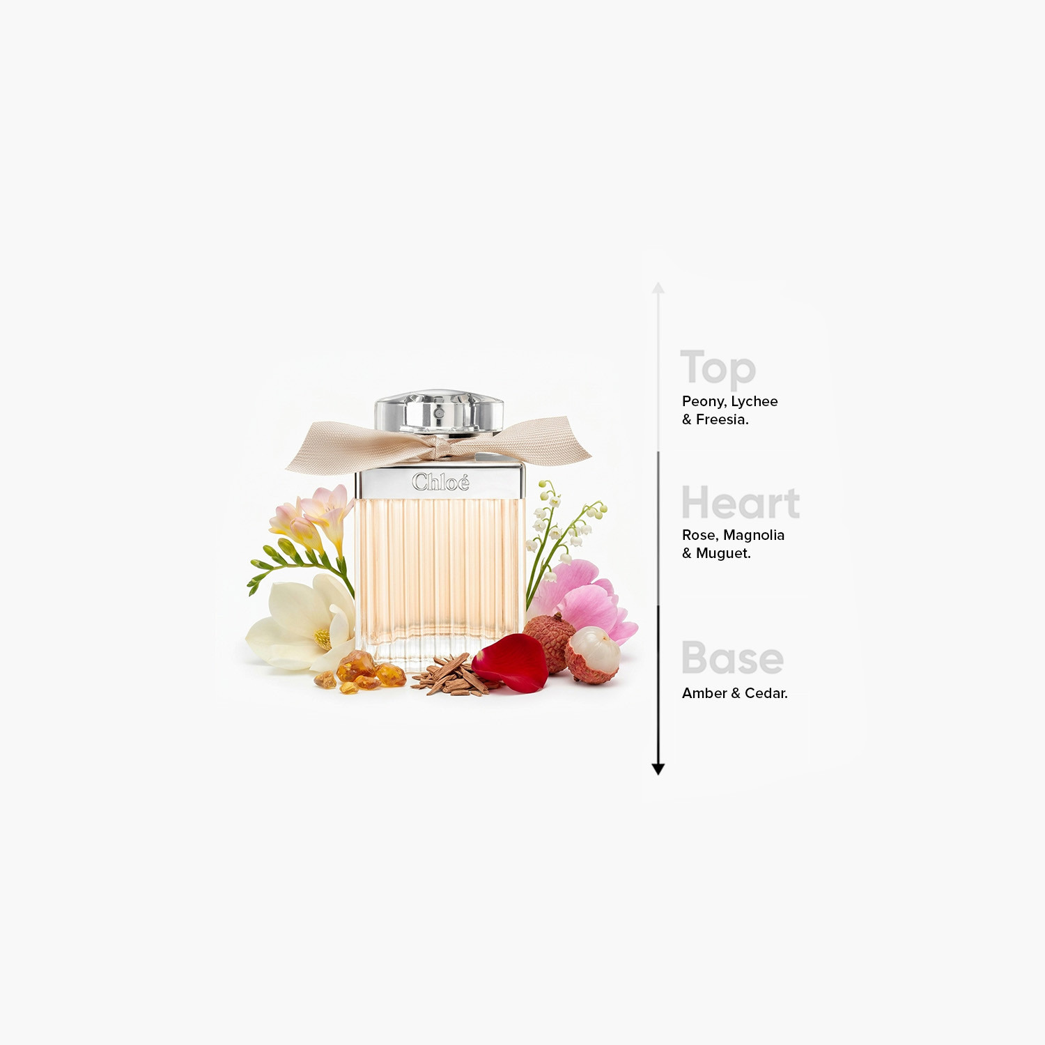 بخاخ أو دو برفان سيجنتيتشر للنساء من كلوي - 75 مل-beautyandpersonalcare-fragrance-women-image-4