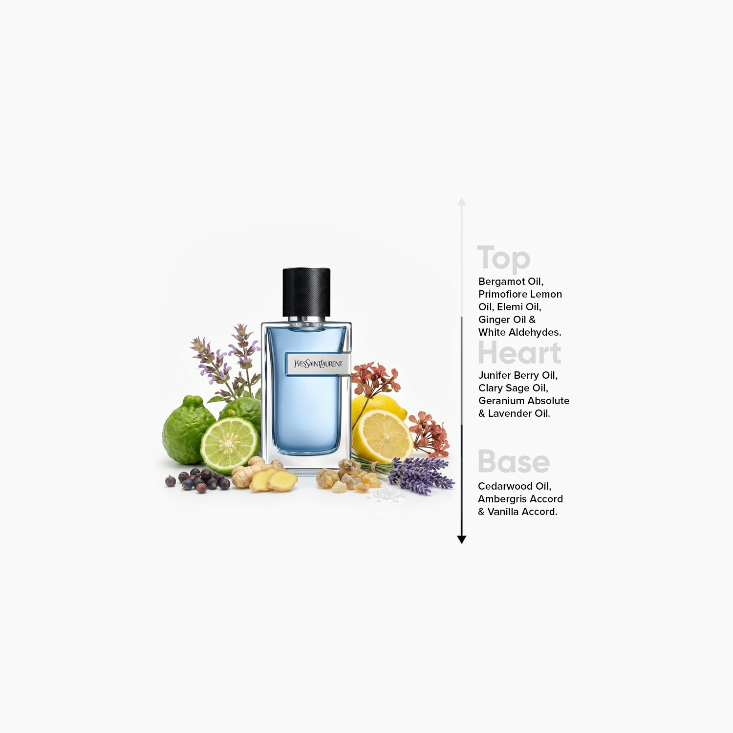 بخاخ أو دو تواليت لورينت مانيفستو من إيف سان لوران - 100 مل-beautyandpersonalcare-fragrance-men-image-4