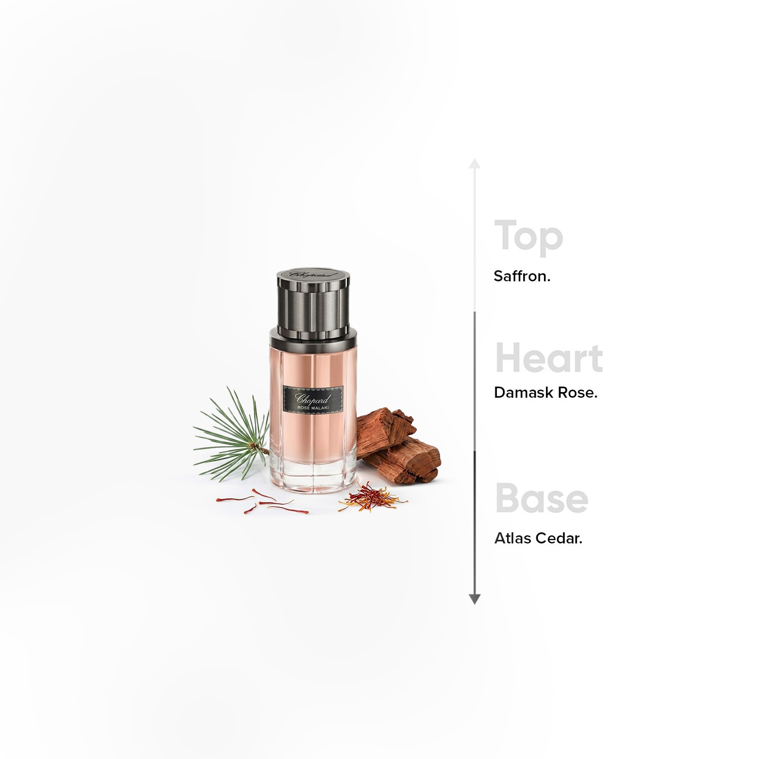 Chopard Rose Malaki Eau De Parfum Unisex Spray - 80 ml-beautyandpersonalcare-fragrance-men-image-4