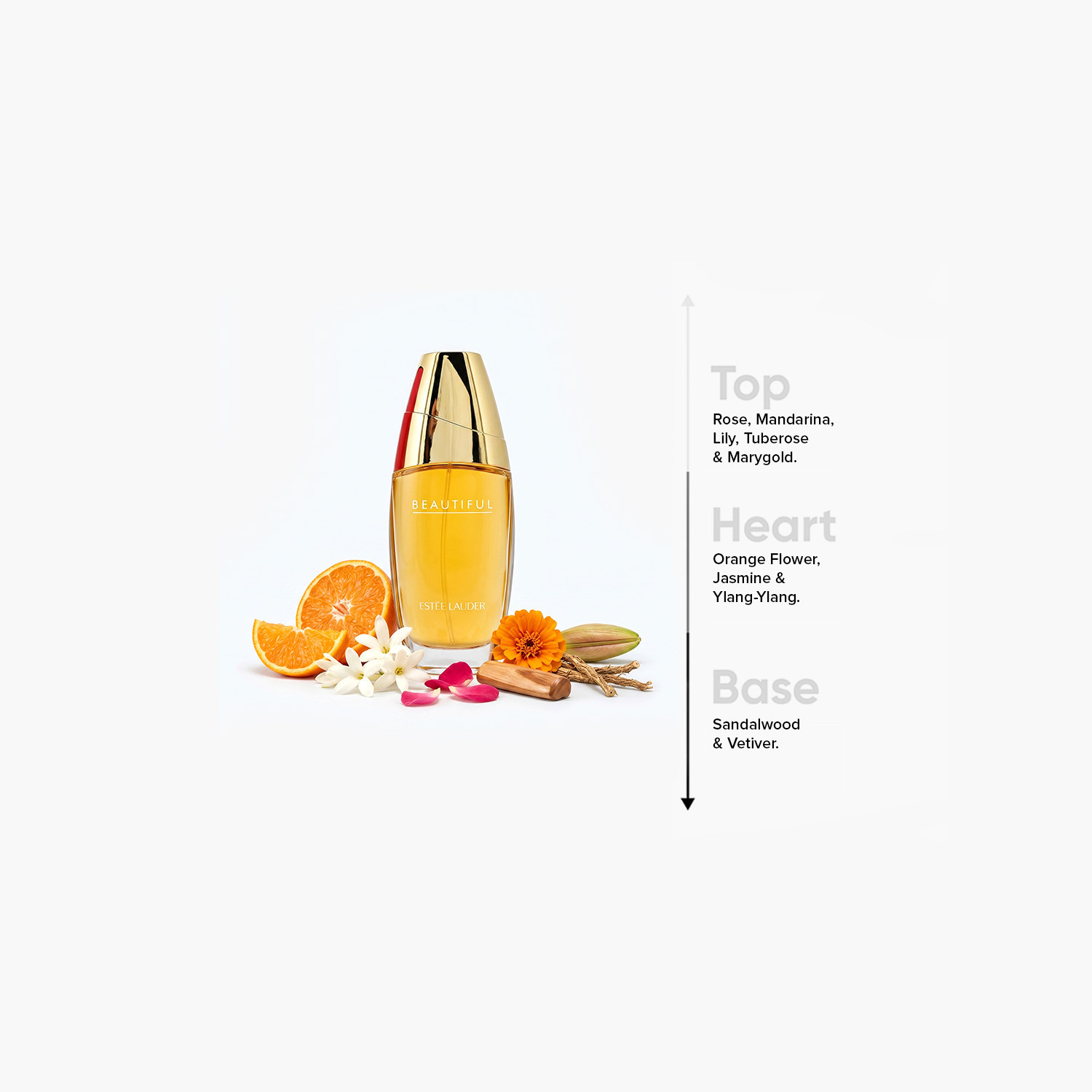 رذاذ أو دو برفان بيوتيفل للنساء من إستي لودر - 75 مل-beautyandpersonalcare-fragrance-women-image-4