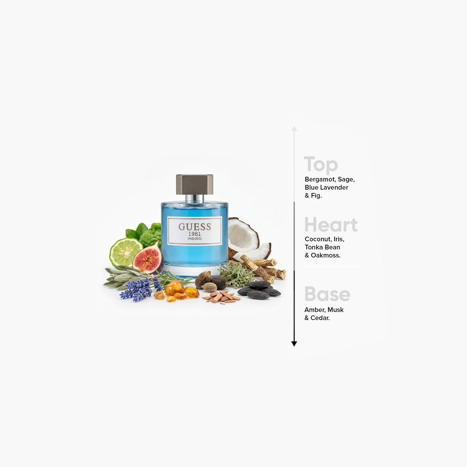 أو دو تواليت 1981 إنديجو للرجال من جيس - 100 مل-beautyandpersonalcare-fragrance-men-image-4
