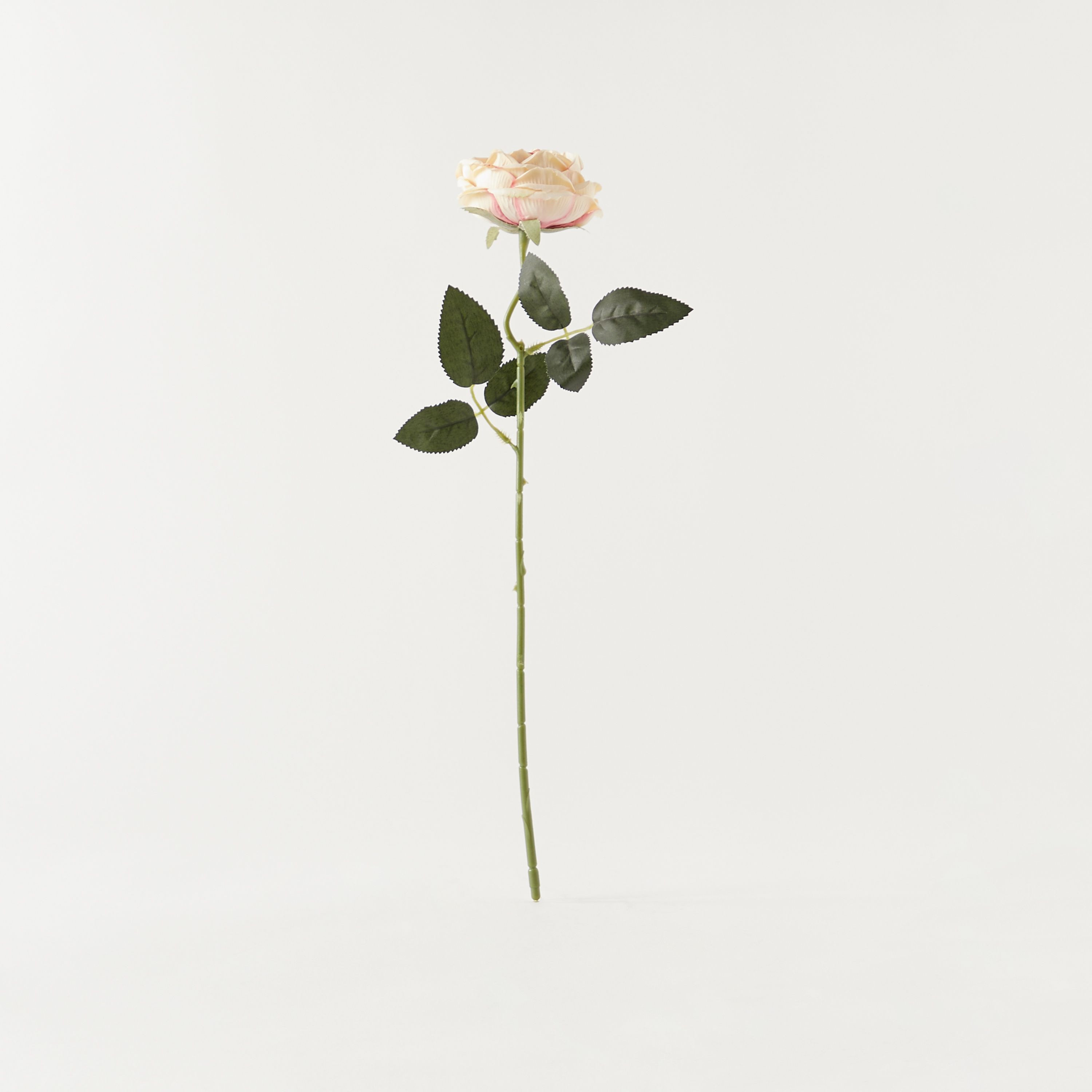 Decorative Flower Stem - 50 cms-household-gardenandoutdoor-artificialflowersandplants-stems-image-1