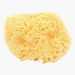 Babu Honeycomb Bath Sponge-Bathtubs and Accessories-thumbnailMobile-1