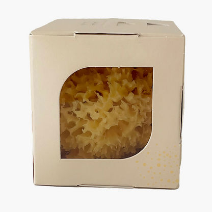 Babu Honeycomb Bath Sponge-Bathtubs and Accessories-image-3