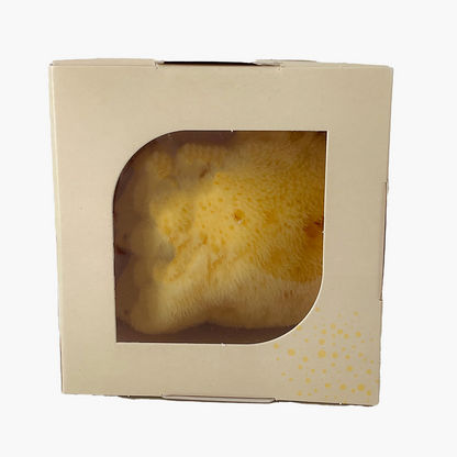 Babu Fine Silk Bath Sponge-Bathtubs and Accessories-image-2