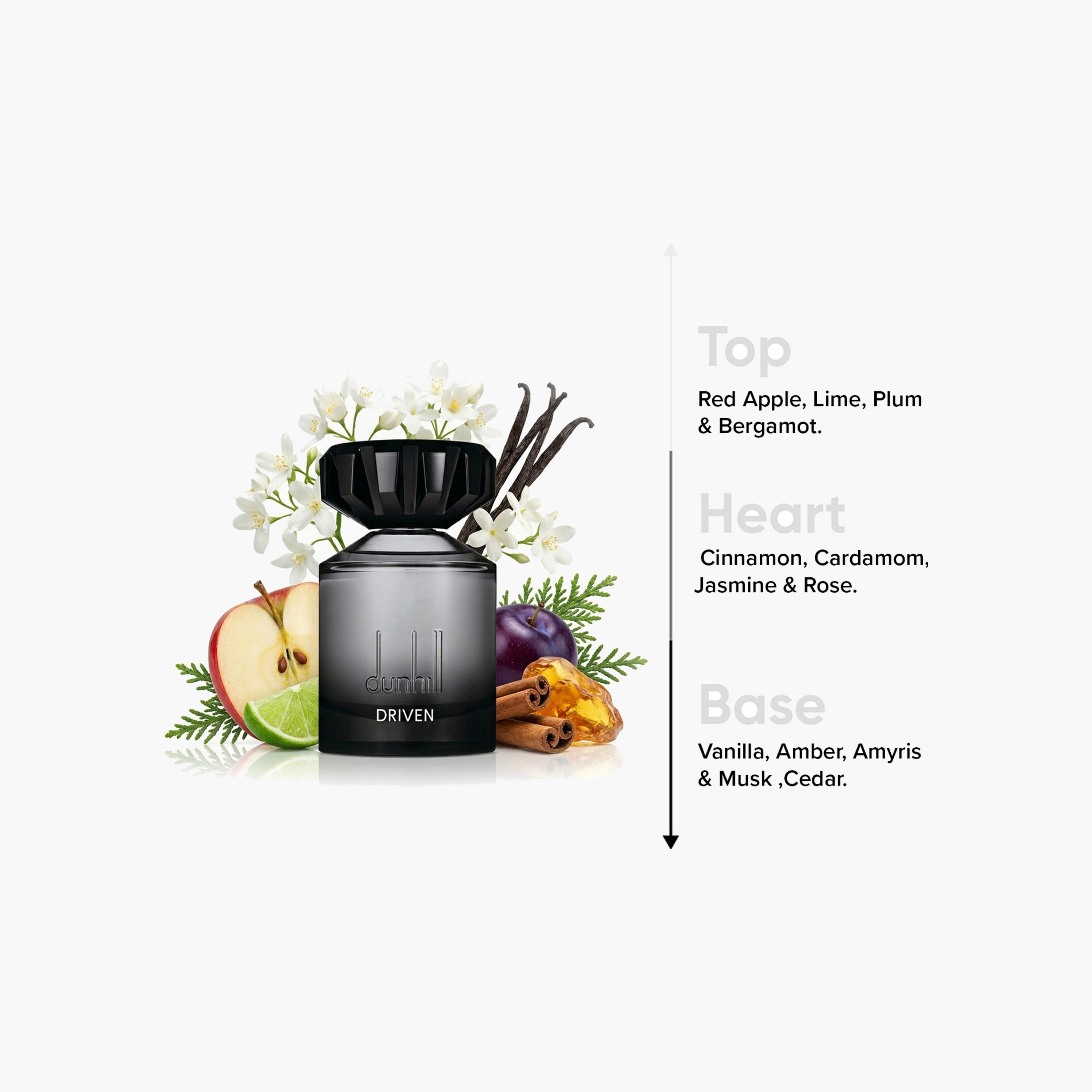 Dunhill Driven Eau de Parfum for Men - 100 ml-beautyandpersonalcare-fragrance-men-image-4