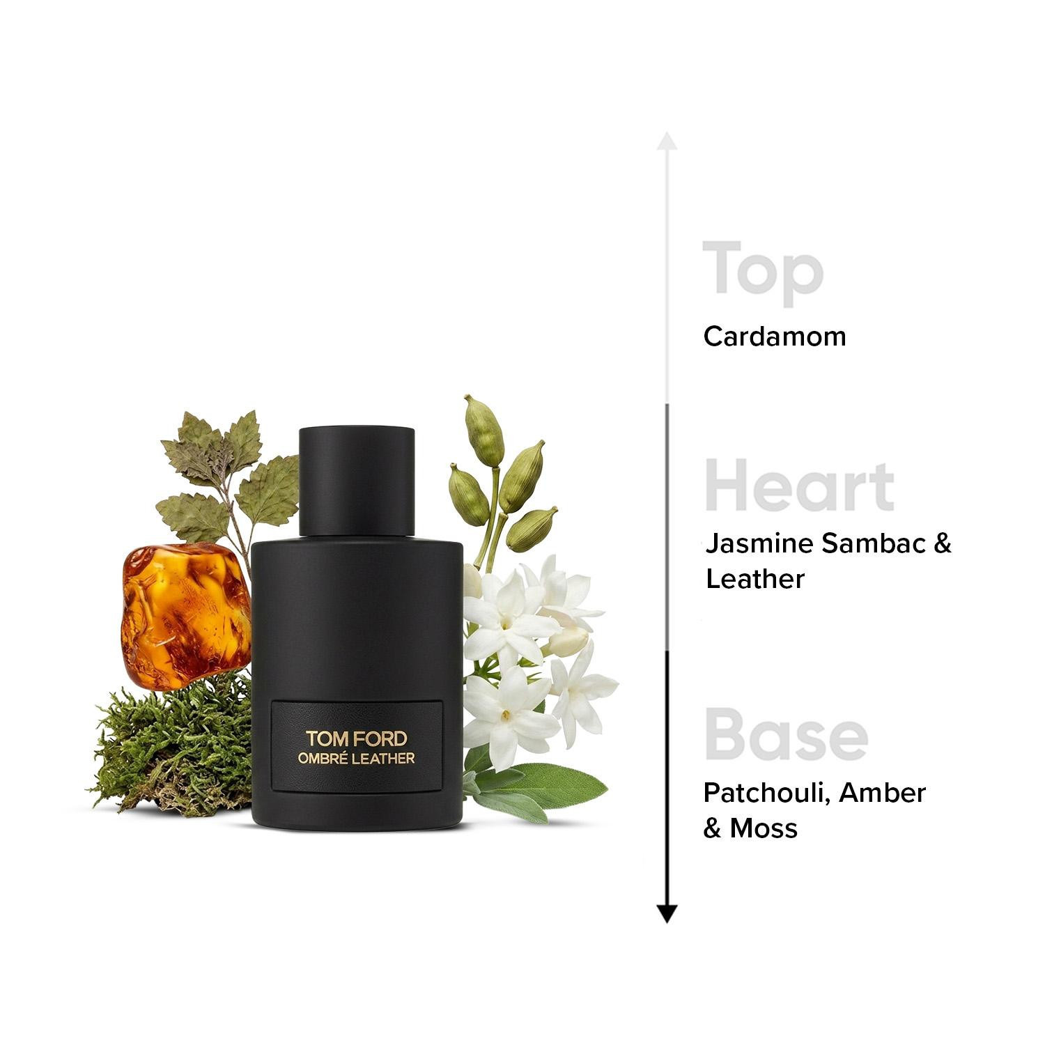 عطر بخّاخ أو دي بيرفيوم من تومفورد أومبر ليذر- 100 مل-beautyandpersonalcare-fragrance-unisex-image-4