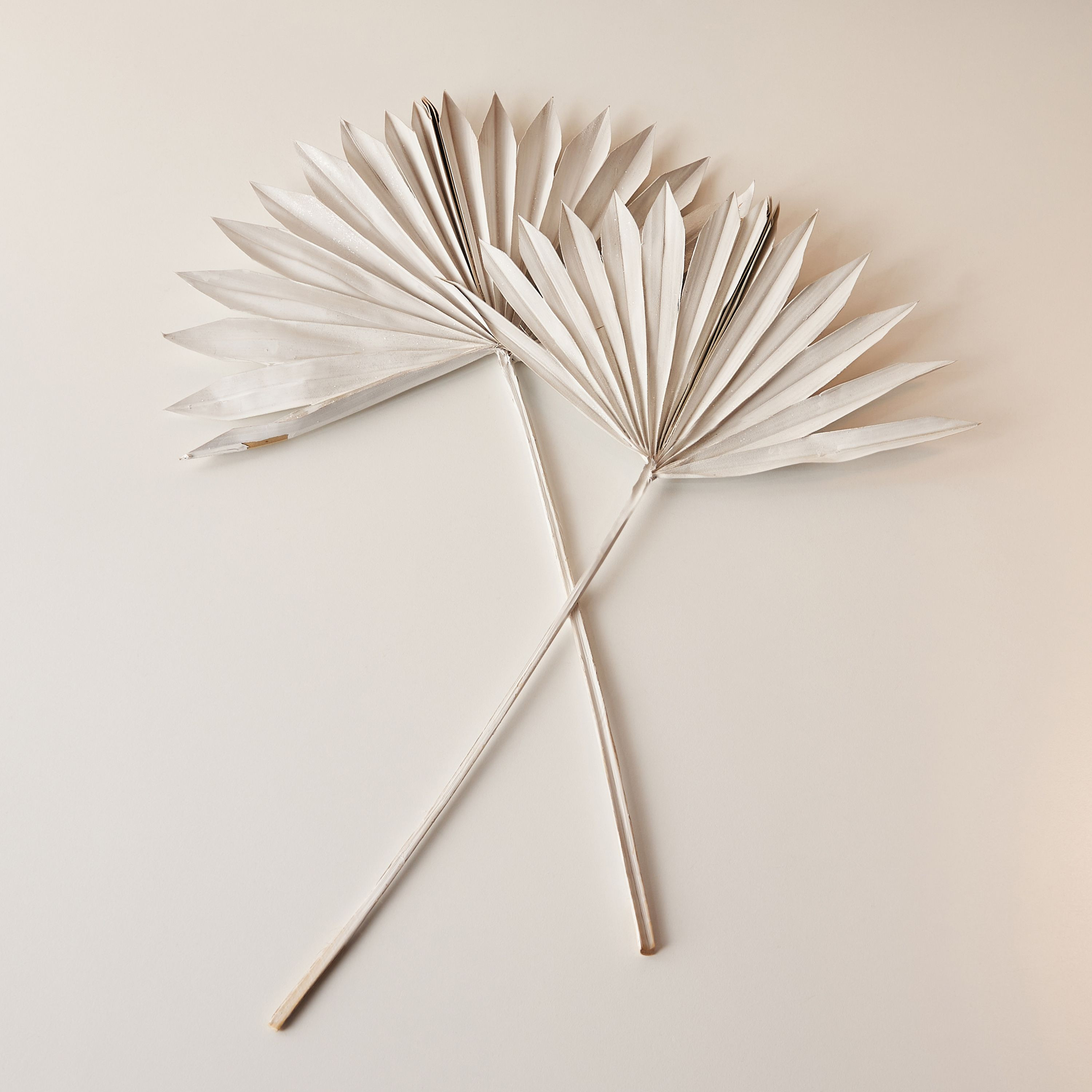 طقم غصن ديكور بارز الملمس قطعتين - 55 سم-household-gardenandoutdoor-artificialflowersandplants-flowers-image-2