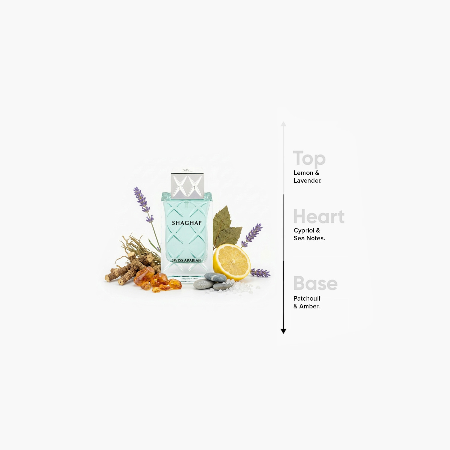 Swiss Arabian Shaghaf Eau de Parfum Spray for Men - 75 ml-beautyandpersonalcare-fragrance-men-image-4
