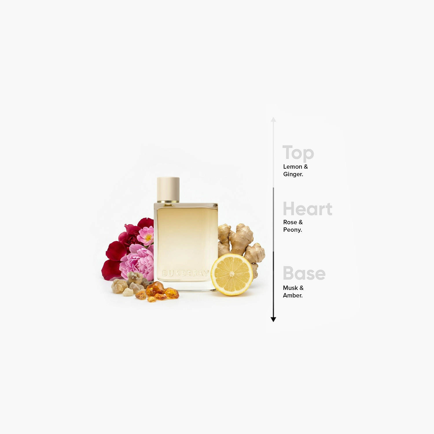 عطر أو دو بارفان للنساء هير لندن دريم من بربري - 100 مل-beautyandpersonalcare-fragrance-women-image-4